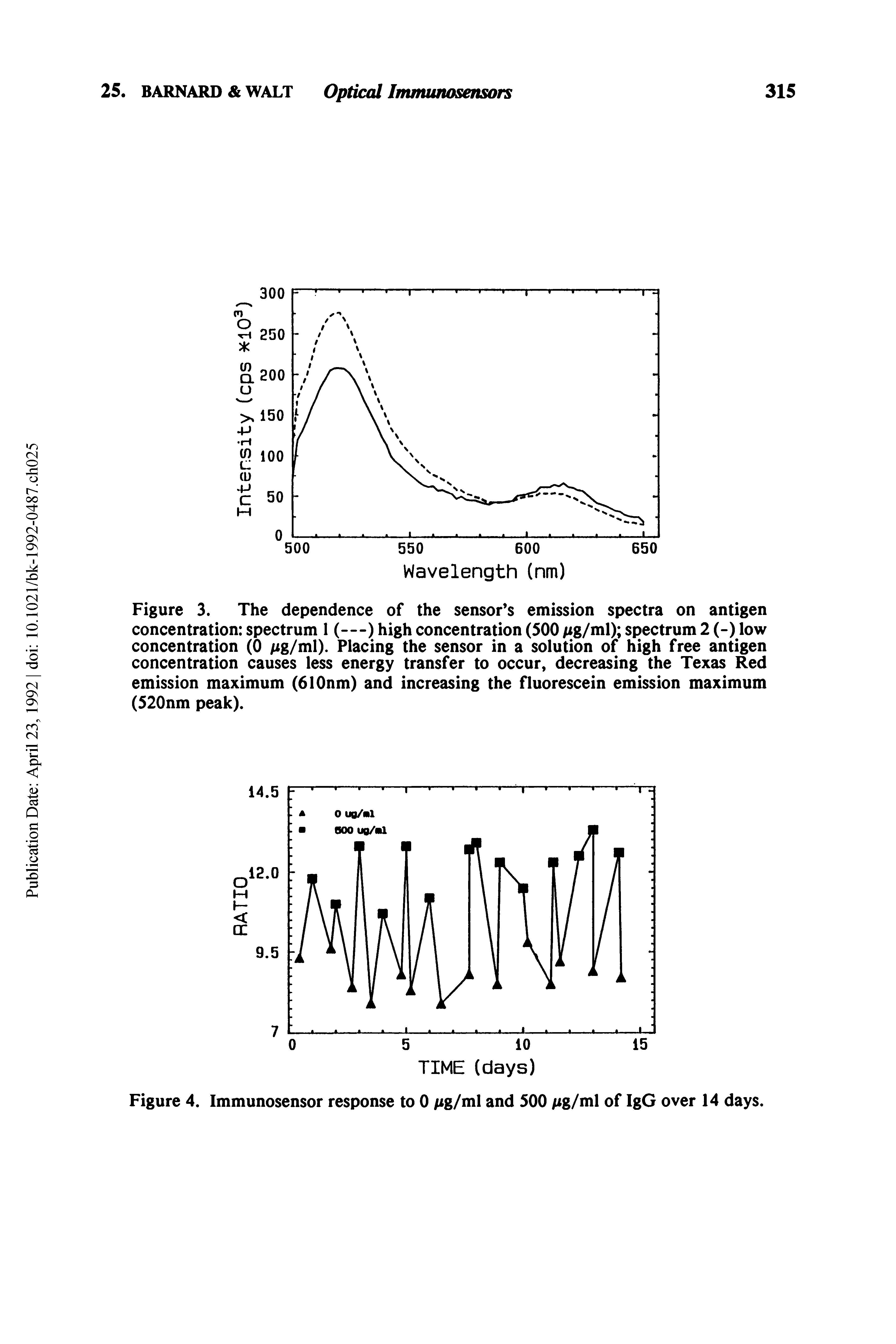 Figure 3. The dependence of the sensor s emission spectra on antigen concentration spectrum 1 (—) high concentration (500 /ig/ml) spectrum 2 (-) low concentration (0 /ig/ml). Placing the sensor in a solution of high free antigen concentration causes less energy transfer to occur, decreasing the Texas Red emission maximum (610nm) and increasing the fluorescein emission maximum (520nm peak).