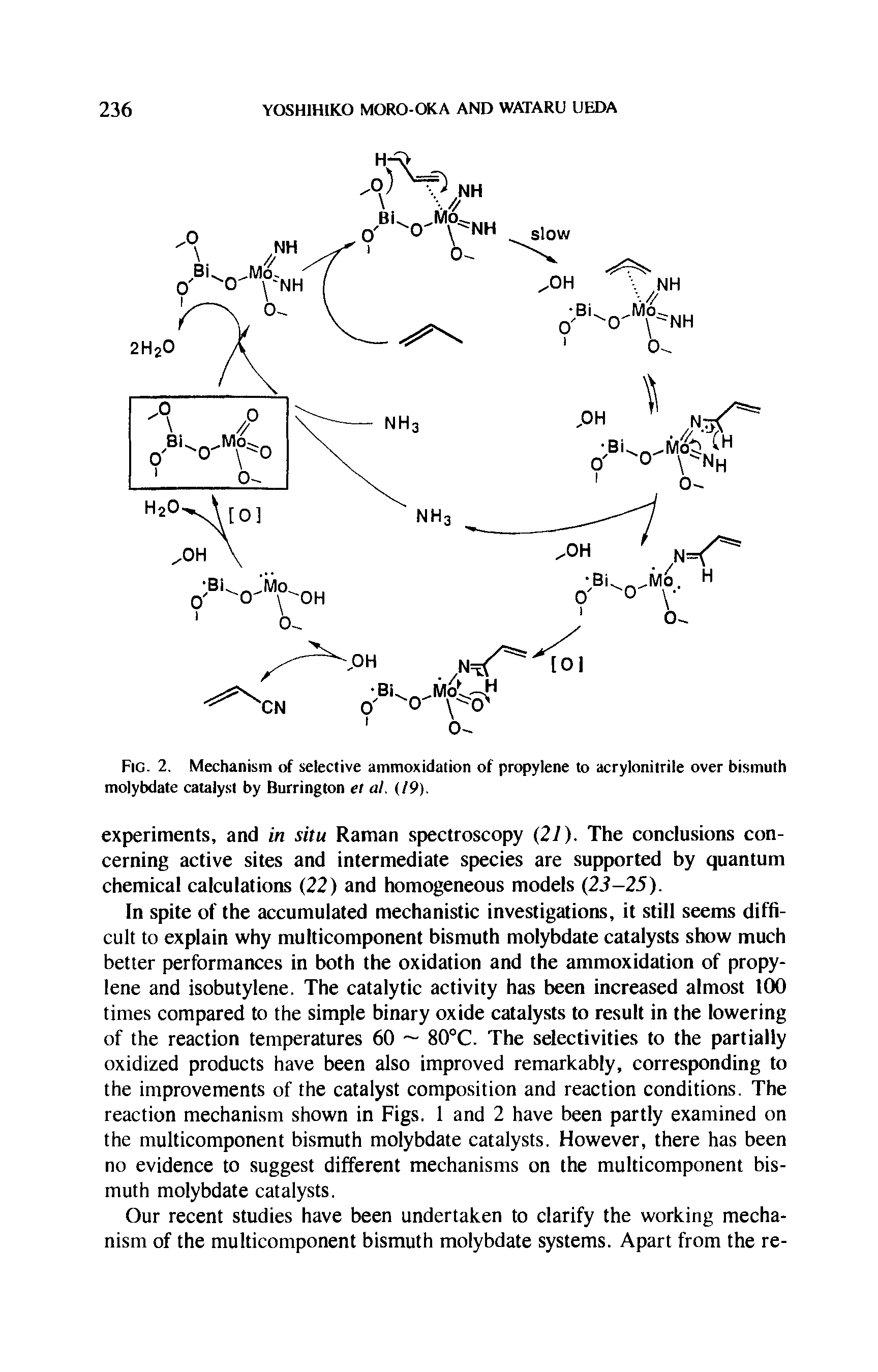 Fig. 2. Mechanism of selective ammoxidation of propylene to acrylonitrile over bismuth molybdate catalyst by Burrington et at. (19).