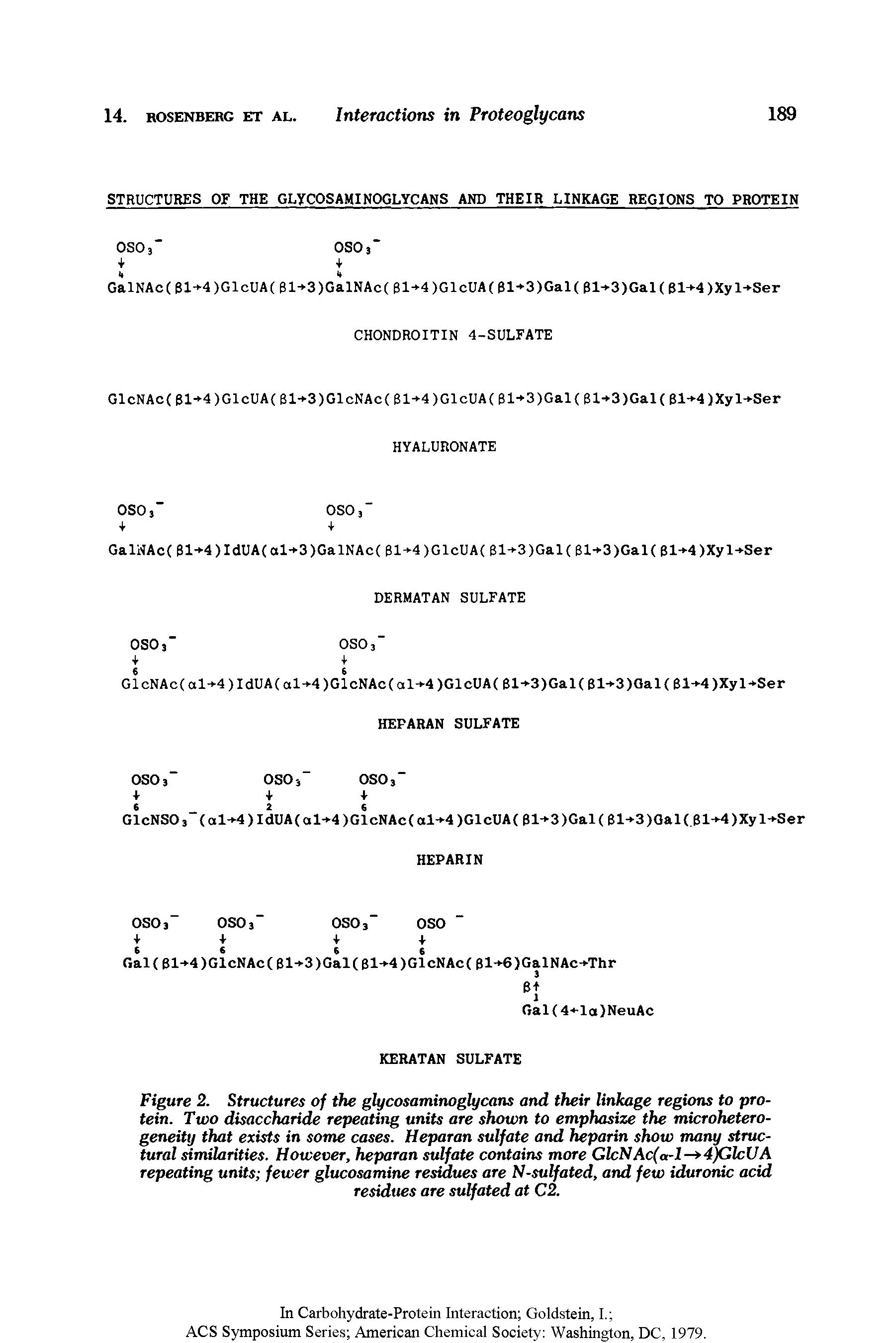 Figure 2. Structures of the glycosaminoglycans and their linkage regions to protein. Two disaccharide repeating units are shown to emphasize the microheterogeneity that exists in some cases. Heparan sulfate and heparin show many structural similarities. However, heparan sulfate contains more GlcNAc(a-1 — 4)GlcUA repeating units fewer glucosamine residues are N-sulfated, and few iduronic acid residues are sulfated at C2.