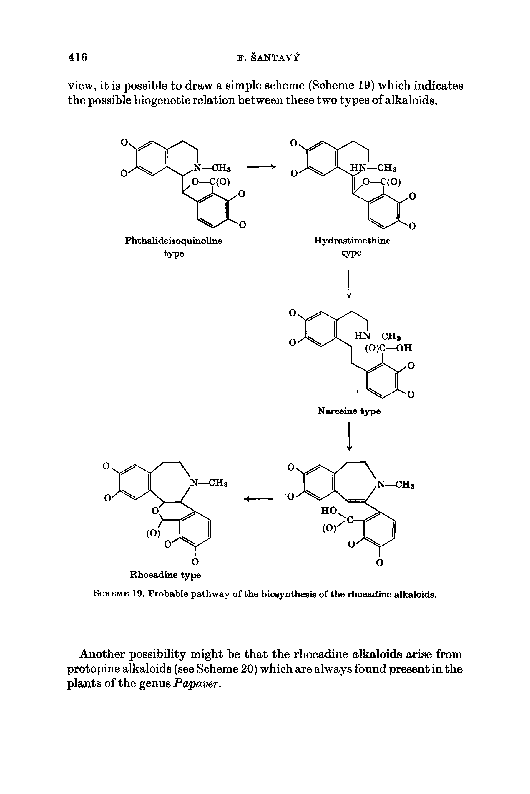 Scheme 19. Probable pathway of the biosynthesis of the rhoeadine alkaloids.