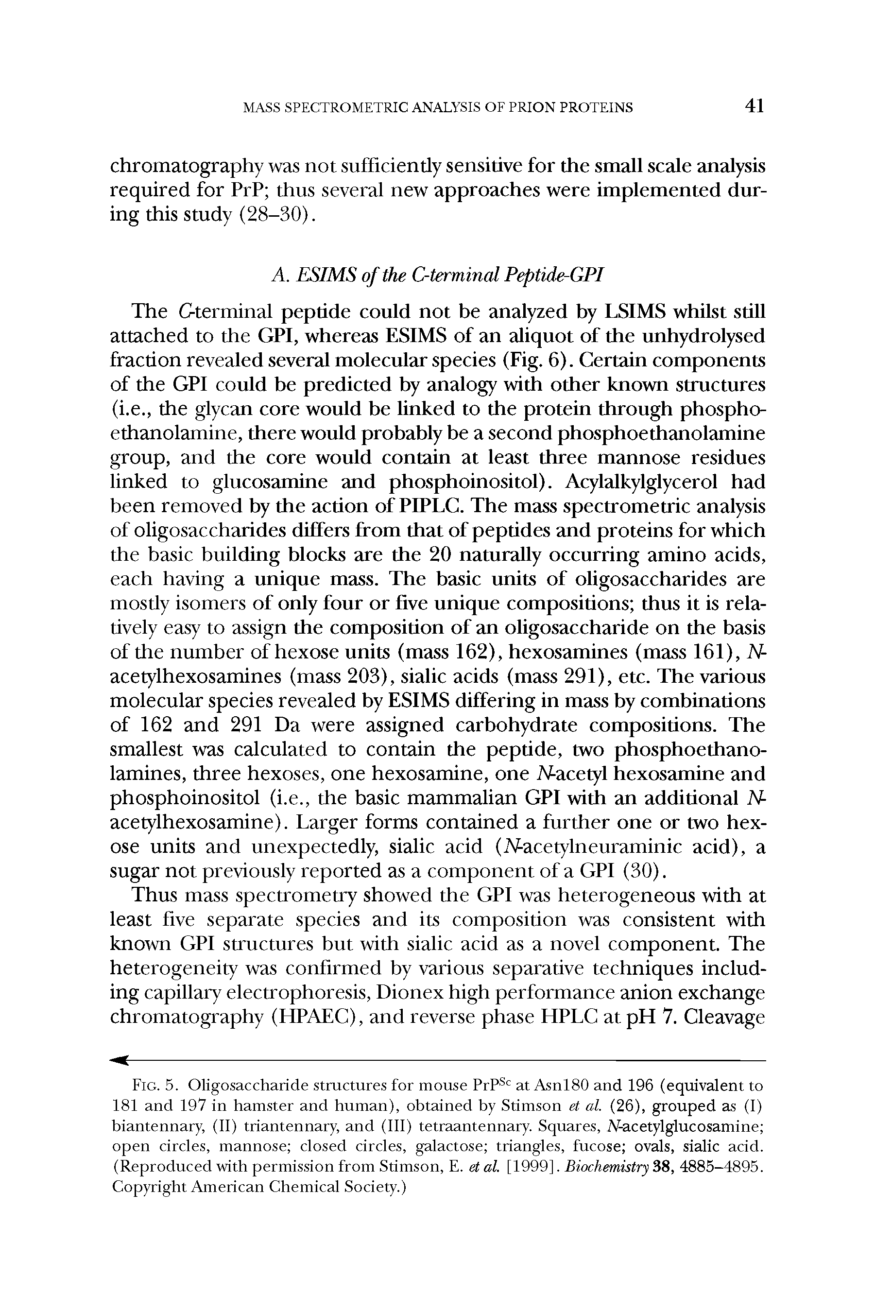 Fig. 5. Oligosaccharide structures for mouse PrP at AsnlSO and 196 (equivalent to 181 and 197 in hamster and human), obtained by Stimson et al. (26), grouped as (1) biantennary, (11) triantennary, and (111) tetraantennary. Squares, A -acetylglucosamine open circles, mannose closed circles, galactose triangles, fucose ovals, sialic acid. (Reproduced with permission from Stimson, E. et al. [1999]. Biochemistry 38, 4885-4895. Copyright American Chemical Society.)...