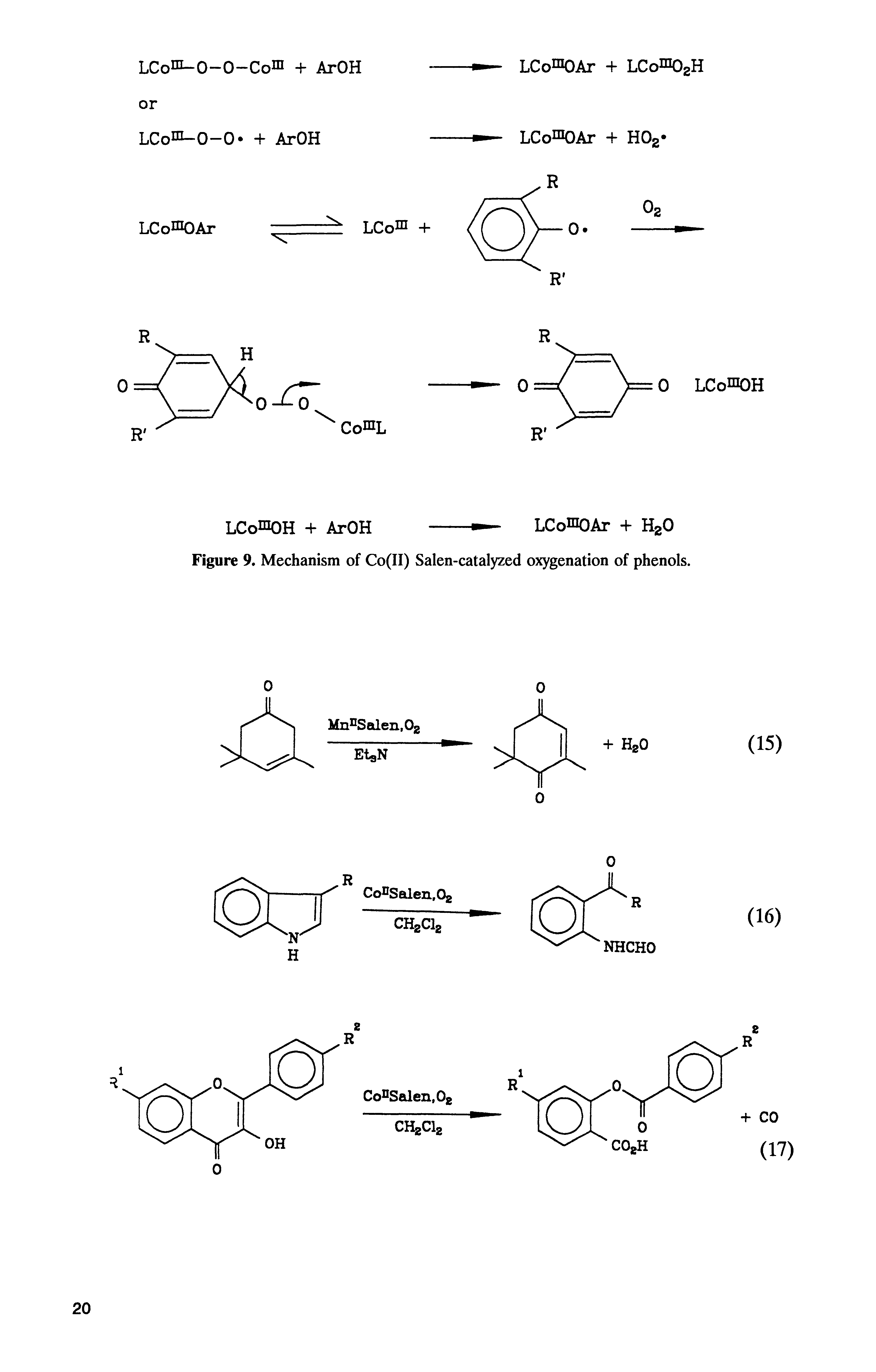 Figure 9. Mechanism of Co(II) Salen-catalyzed oxygenation of phenols.