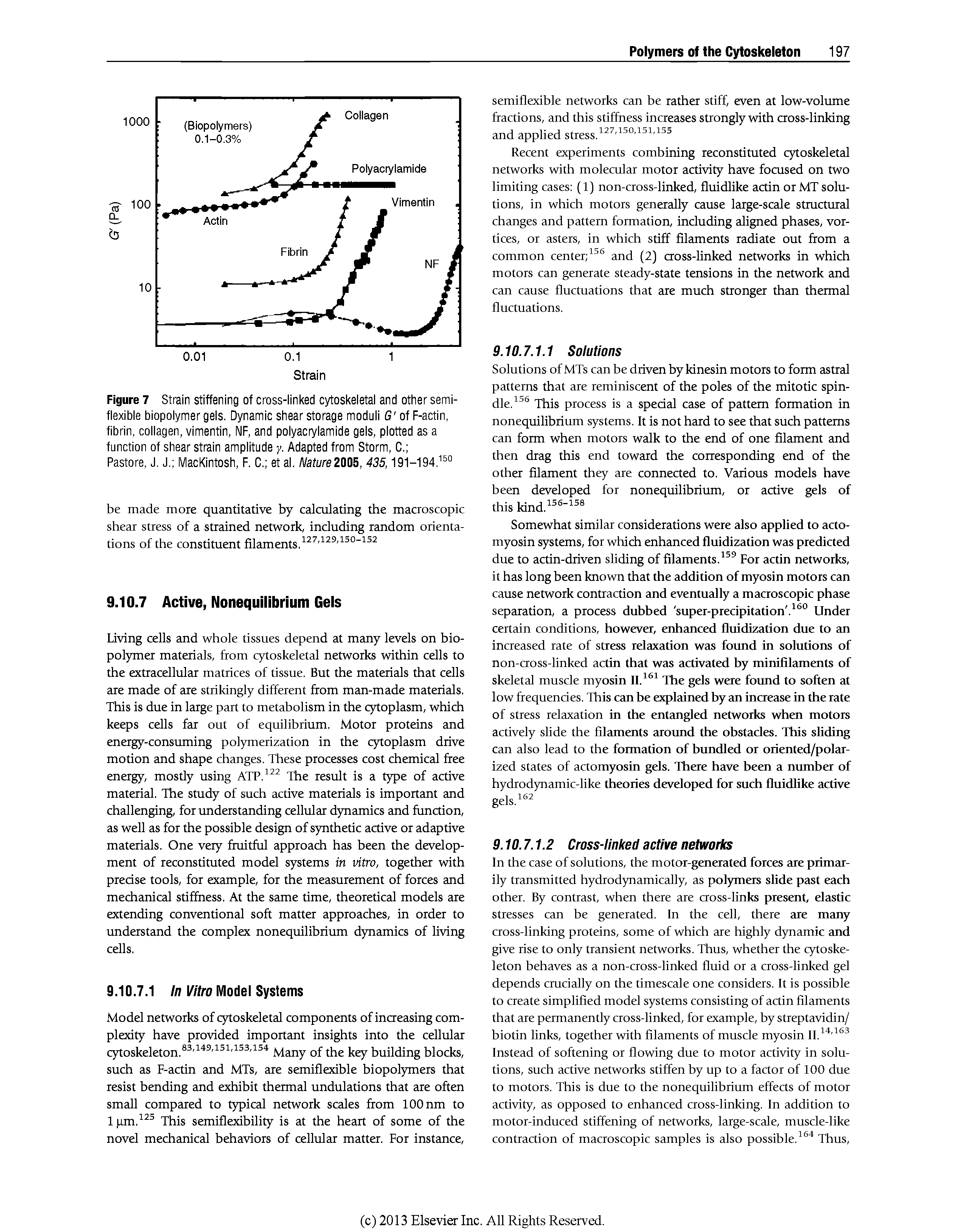 Figure 7 Strain stiffening of cross-iinked cytoskeietai and other semi-fiexibie biopoiymer geis. Dynamic shear storage moduii S of F-actin, fibrin, coiiagen, vimentin, NF, and poiyacryiamide geis, piotted as a function of shear strain ampiitude y. Adapted from Storm, C. ...
