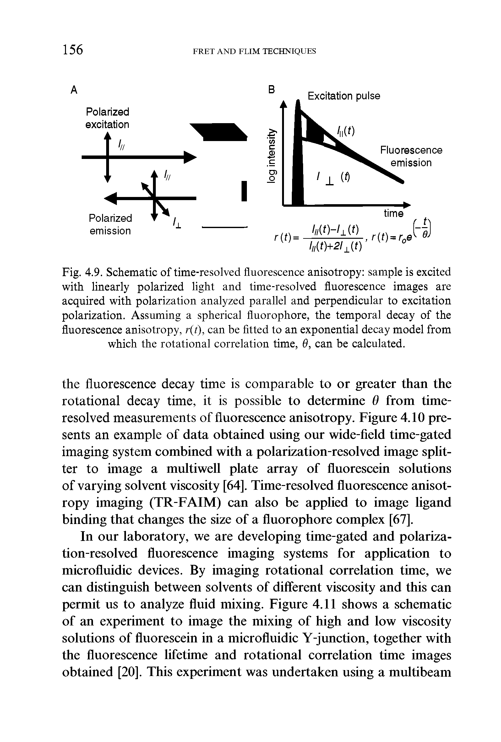 Fig. 4.9. Schematic of time-resolved fluorescence anisotropy sample is excited with linearly polarized light and time-resolved fluorescence images are acquired with polarization analyzed parallel and perpendicular to excitation polarization. Assuming a spherical fluorophore, the temporal decay of the fluorescence anisotropy, r(t), can be fitted to an exponential decay model from which the rotational correlation time, 6, can be calculated.