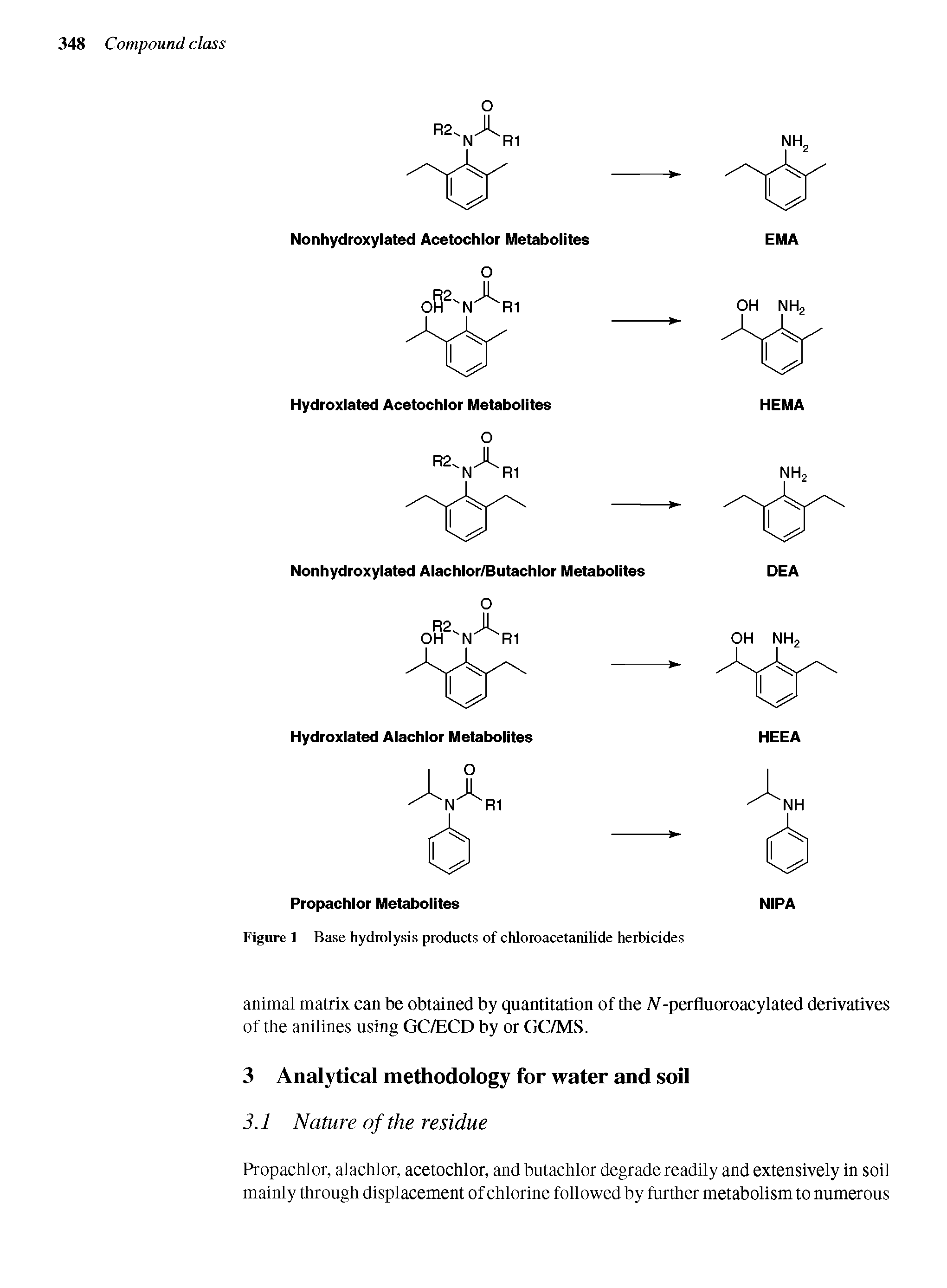 Figure 1 Base hydrolysis products of chloroacetanilide herbicides...