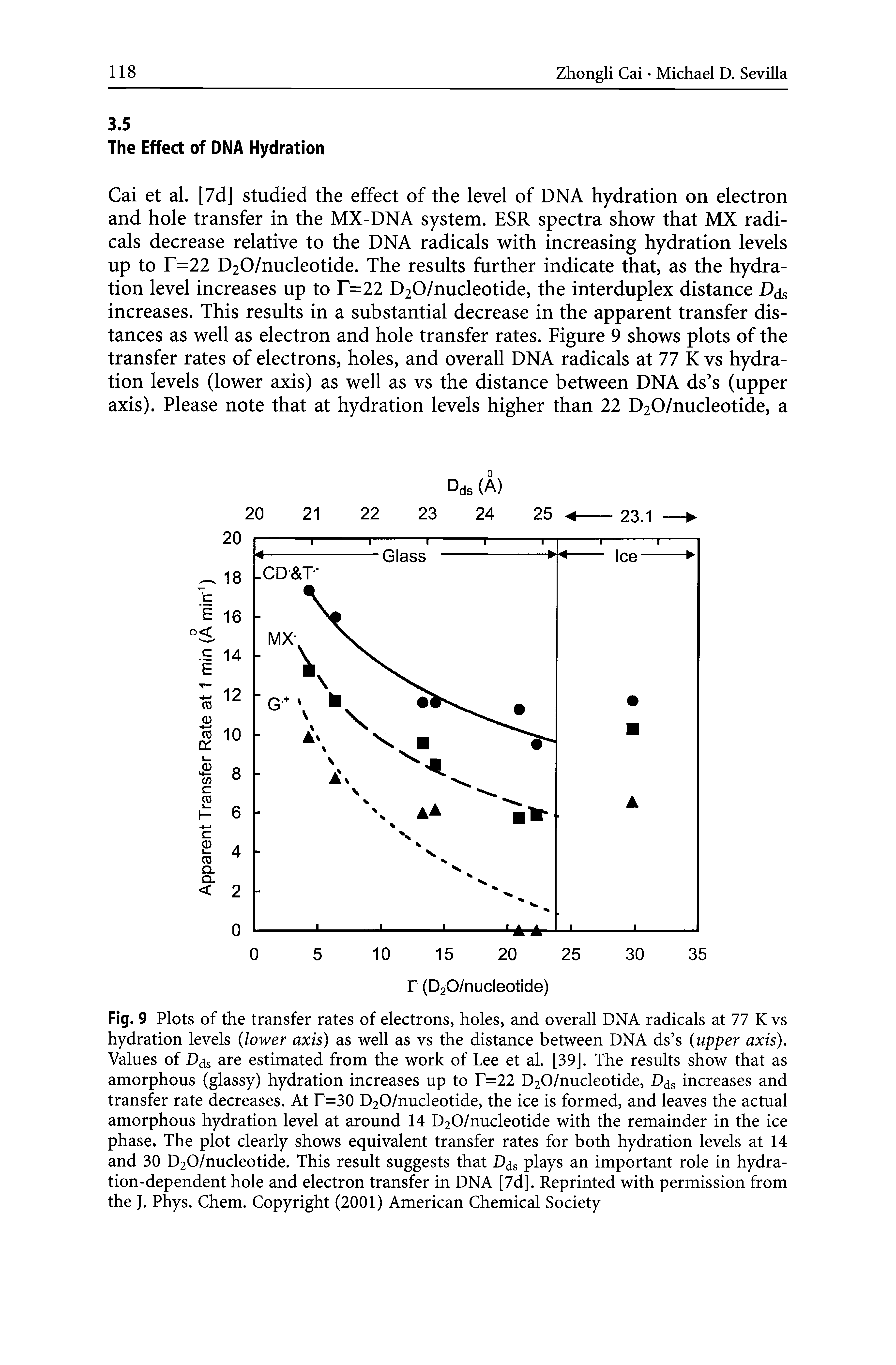 Fig. 9 Plots of the transfer rates of electrons, holes, and overall DNA radicals at 77 K vs hydration levels lower axis) as well as vs the distance between DNA ds s (upper axis). Values of D s are estimated from the work of Lee et al. [39]. The results show that as amorphous (glassy) hydration increases up to T=22 D20/nucleotide, D s increases and transfer rate decreases. At T=30 D20/nucleotide, the ice is formed, and leaves the actual amorphous hydration level at around 14 D20/nucleotide with the remainder in the ice phase. The plot clearly shows equivalent transfer rates for both hydration levels at 14 and 30 D20/nucleotide. This result suggests that Djs plays an important role in hydration-dependent hole and electron transfer in DNA [7dj. Reprinted with permission from the J. Phys. Chem. Copyright (2001) American Chemical Society...