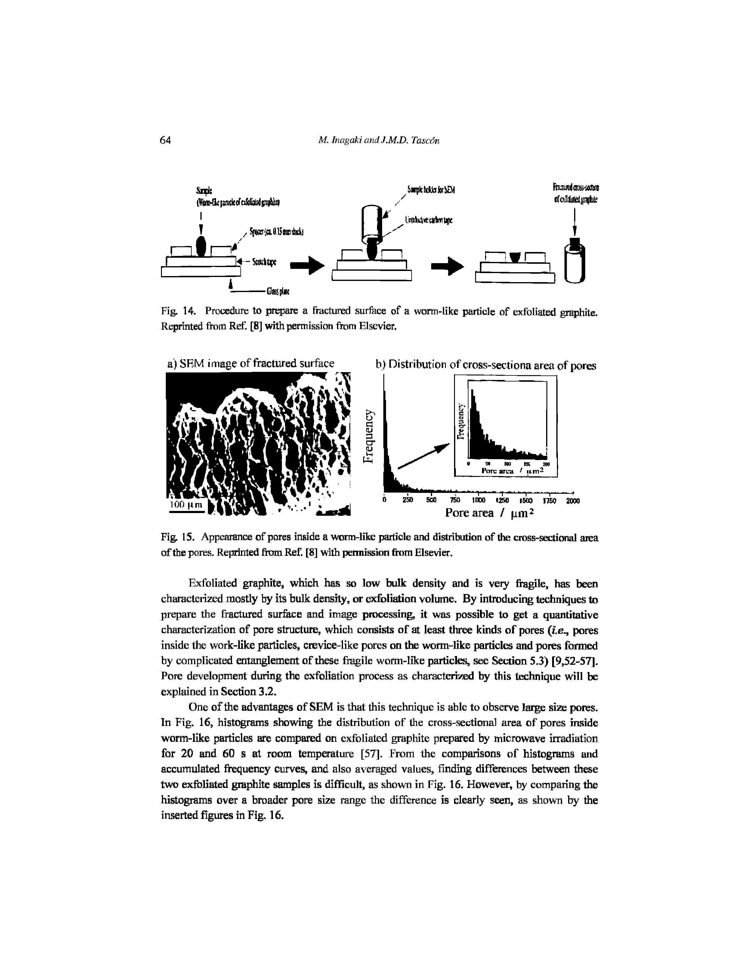 Fig. 14. Procedure to prepare a fiactured surface of a worm-like particle of exfoliated graphite. Reprinted from Ref. [8] with permission from Elsevier.