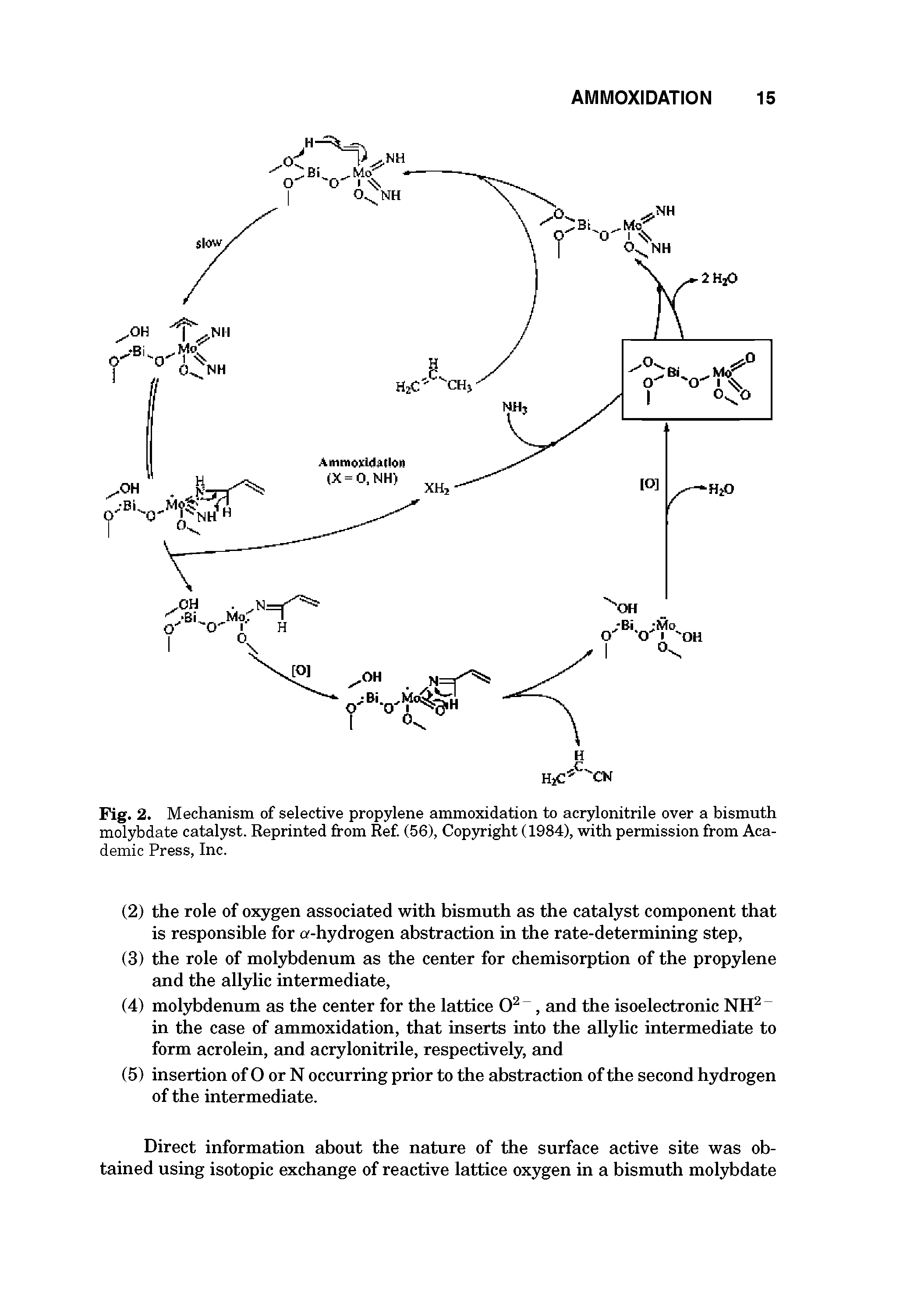 Fig. 2. Mechanism of selective propylene ammoxidation to acrylonitrile over a bismuth molybdate catalyst. Reprinted from Ref. (56), Copyright (1984), with permission from Academic Press, Inc.