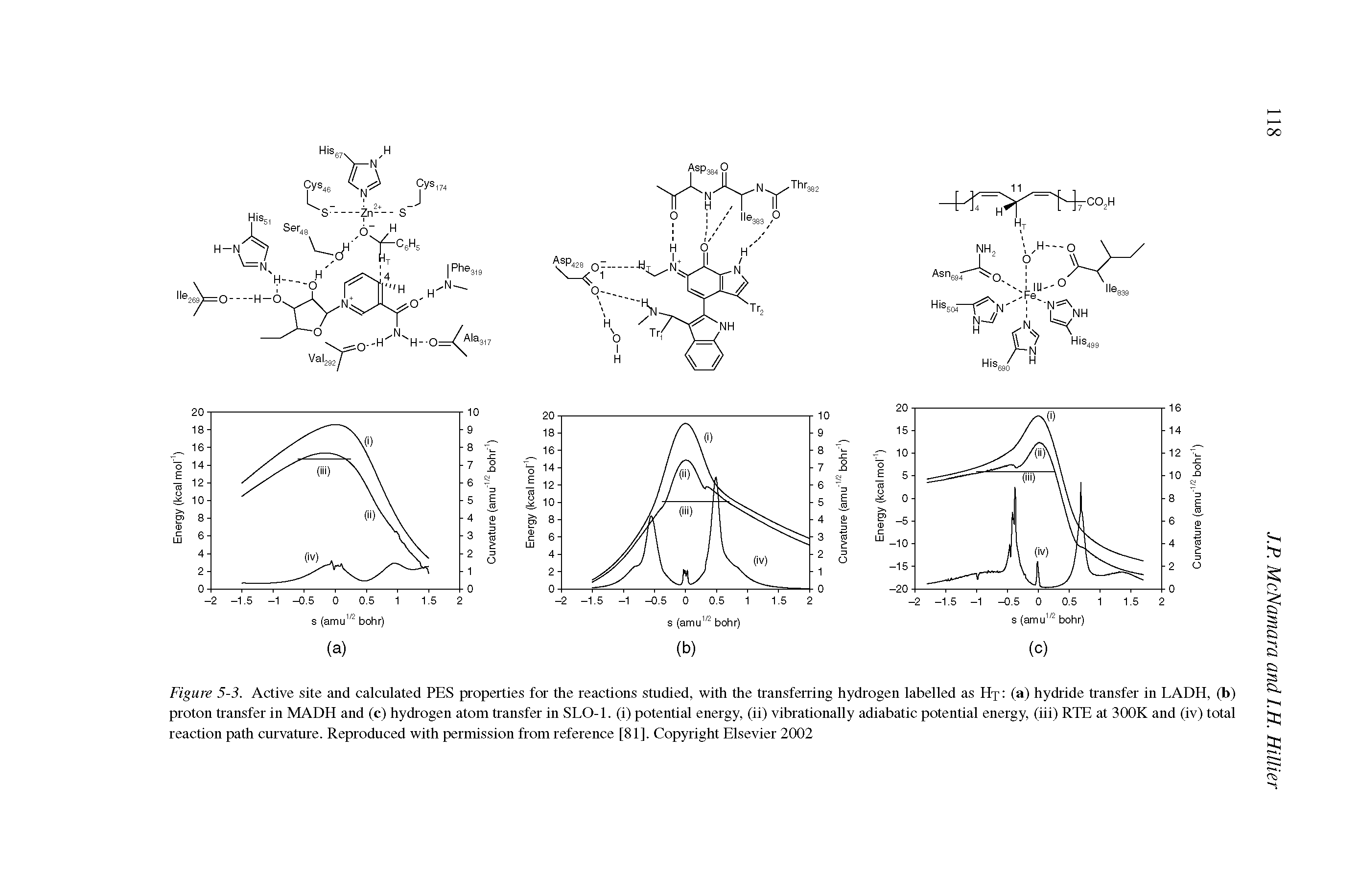 Figure 5-3. Active site and calculated PES properties for the reactions studied, with the transferring hydrogen labelled as Hp (a) hydride transfer in LADH, (b) proton transfer in MADH and (c) hydrogen atom transfer in SLO-1. (i) potential energy, (ii) vibrationally adiabatic potential energy, (iii) RTE at 300K and (iv) total reaction path curvature. Reproduced with permission from reference [81]. Copyright Elsevier 2002...