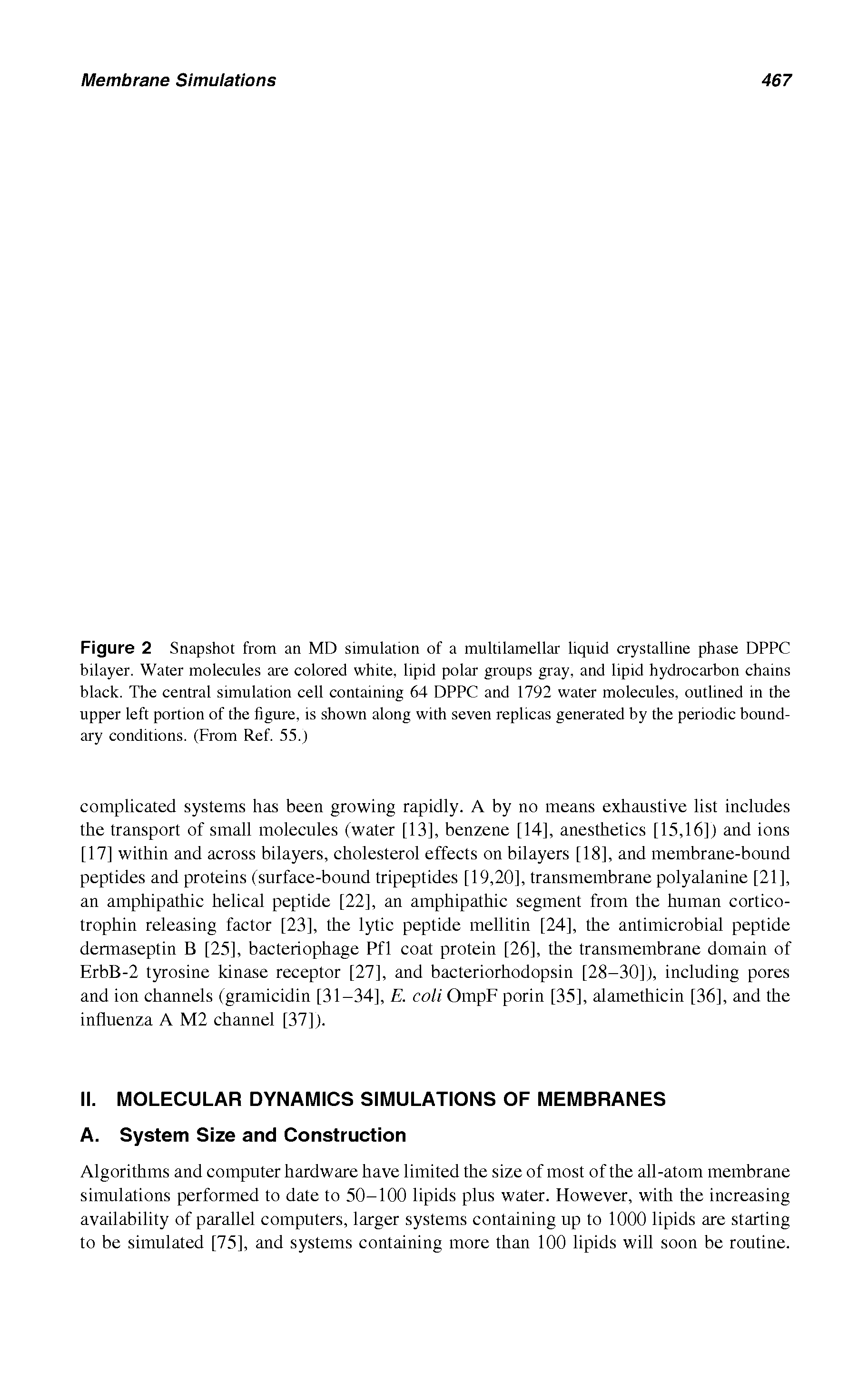Figure 2 Snapshot from an MD simulation of a multilamellar liquid crystalline phase DPPC bilayer. Water molecules are colored white, lipid polar groups gray, and lipid hydrocarbon chains black. The central simulation cell containing 64 DPPC and 1792 water molecules, outlined m the upper left portion of the figure, is shown along with seven replicas generated by the periodic boundary conditions. (From Ref. 55.)...
