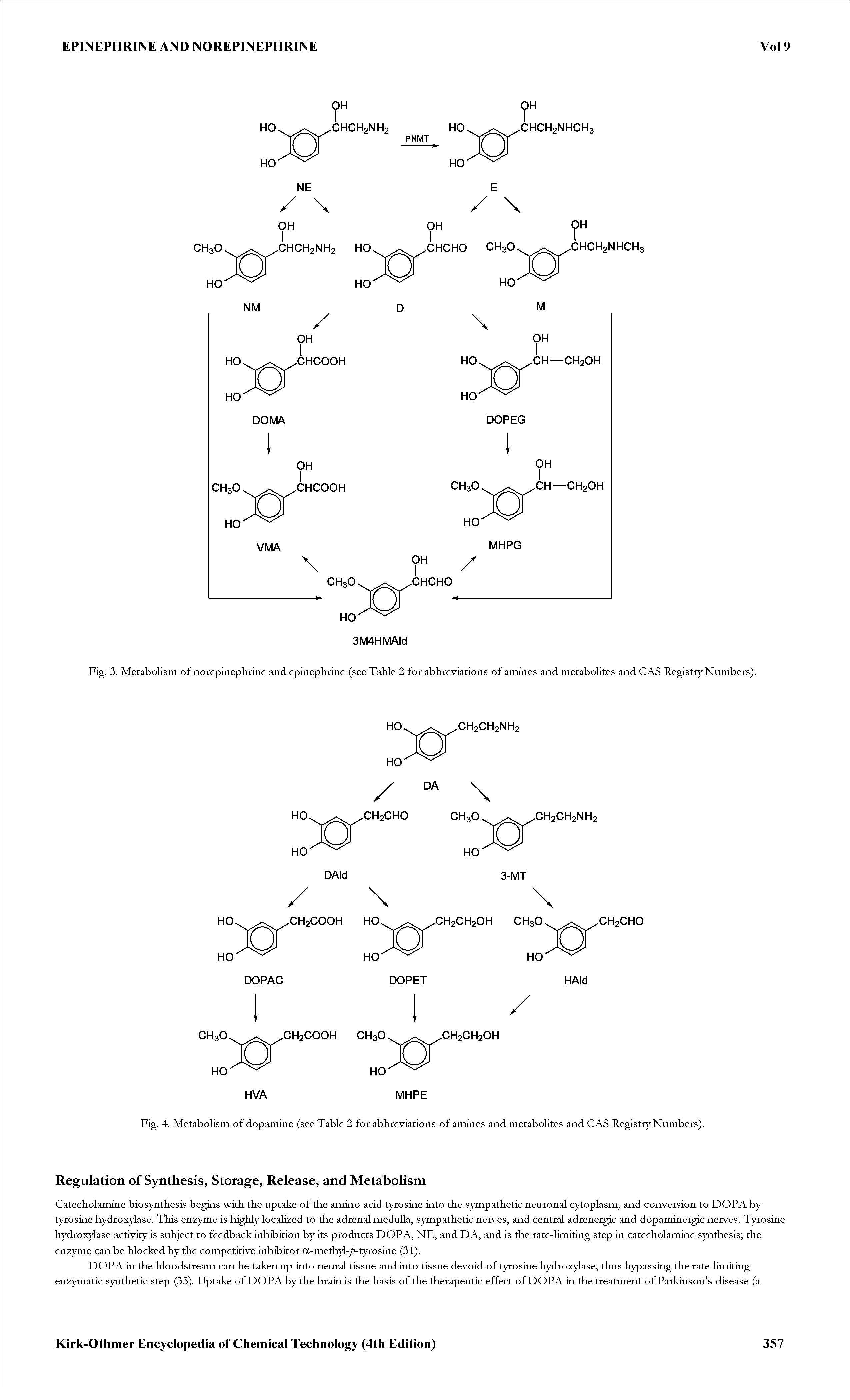 Fig. 3. Metabolism of noiepinephiine and epinephiine (see Table 2 for abbreviations of amines and metabolites and CAS Registry Numbers).