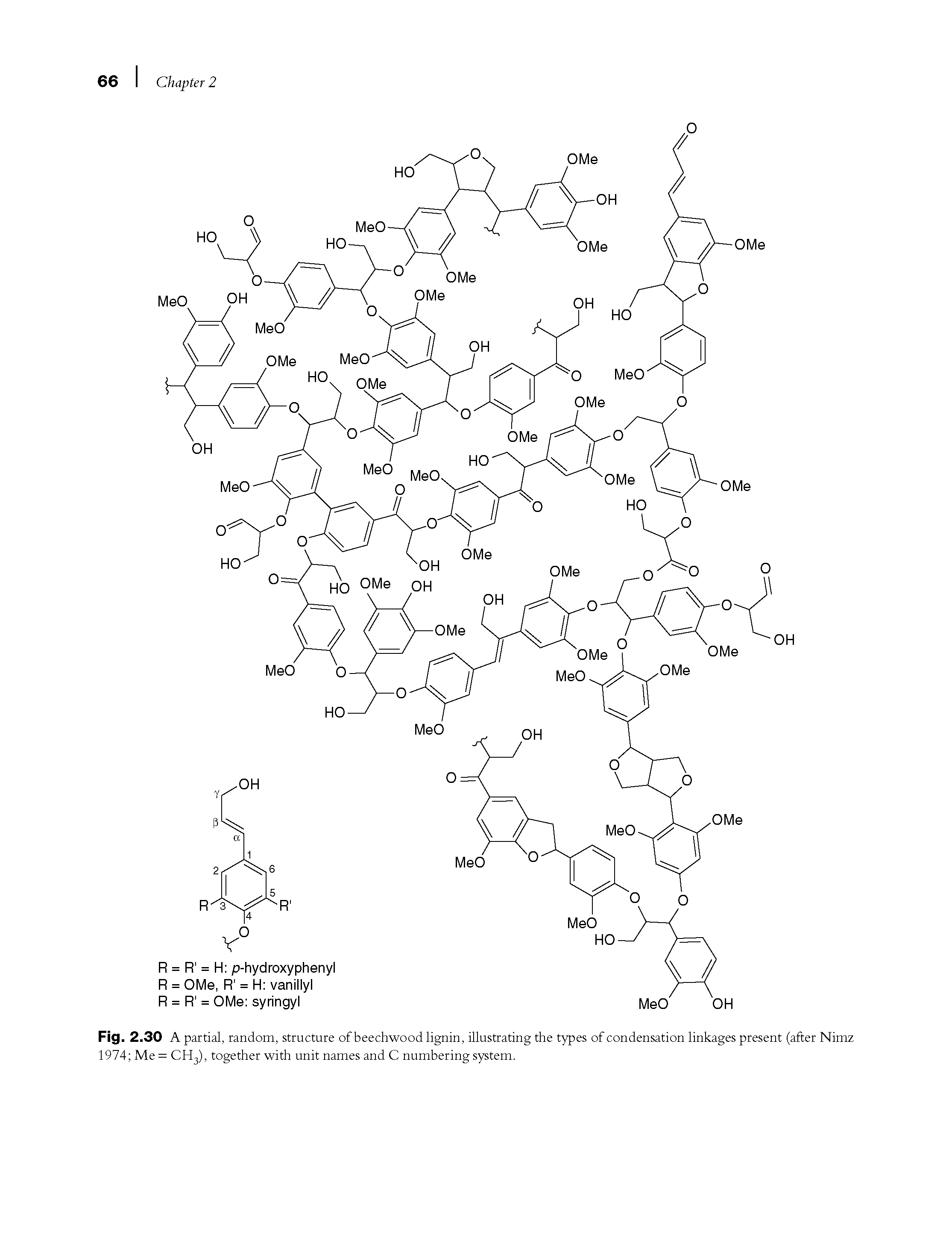 Fig. 2.30 A partial, random, structure of beechwood lignin, illustrating the types of condensation linkages present (after Nimz 1974 Me = CH3), together with unit names and C numbering system.