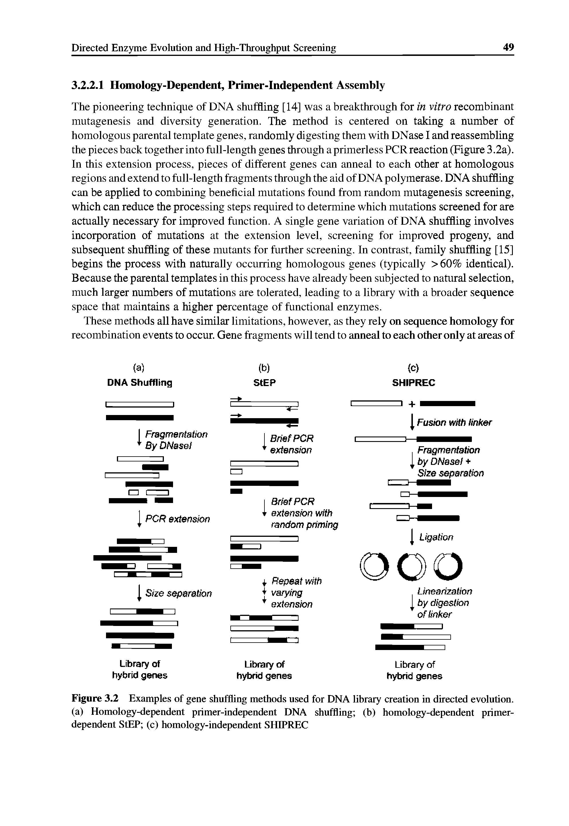 Figure 3.2 Examples of gene shuffling methods used for DNA library creation in directed evolution, (a) Homology-dependent primer-independent DNA shuffling (b) homology-dependent primer-dependent StEP (c) homology-independent SHIPREC...