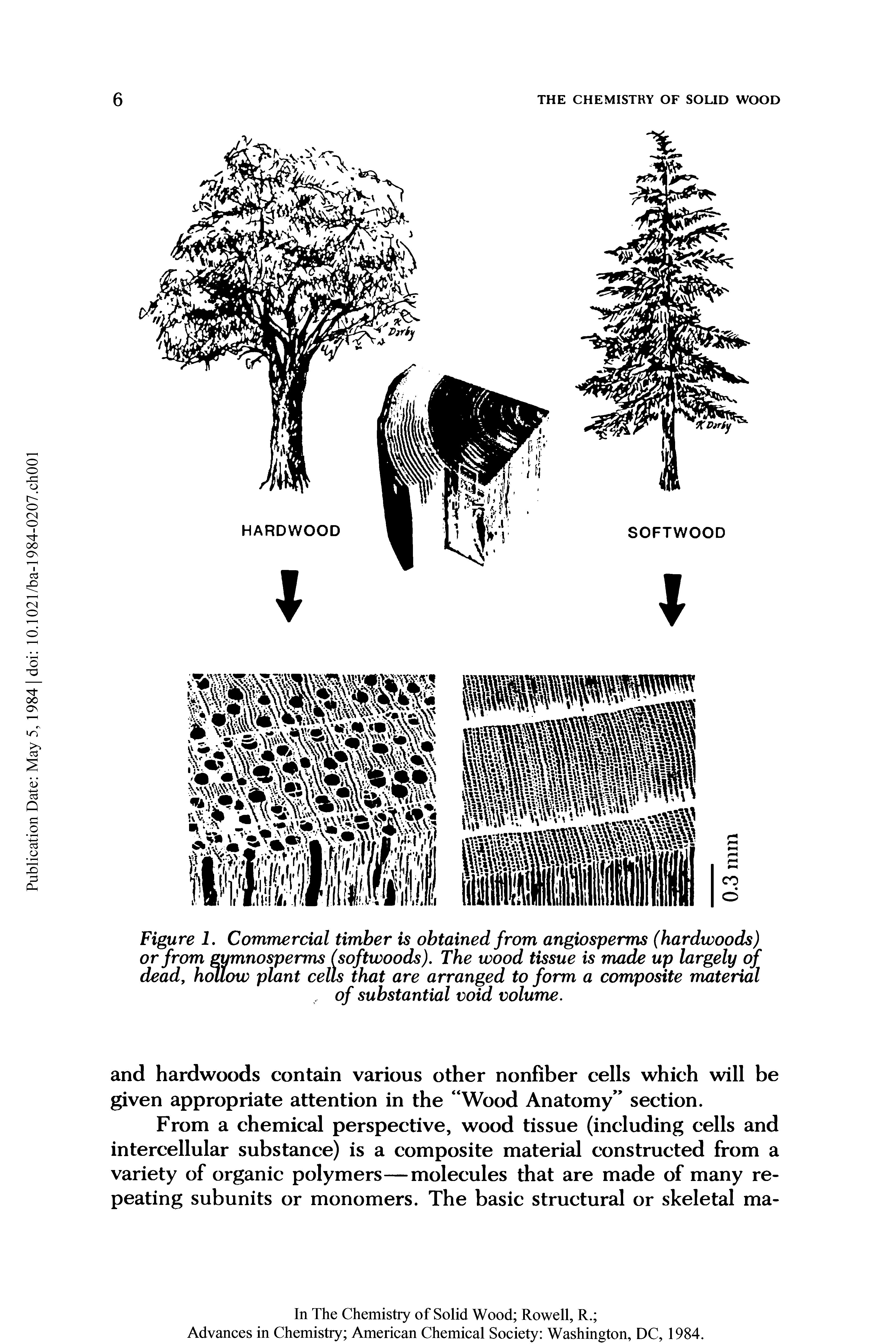 Figure 1. Commercial timber is obtained from angiosperms (hardwoods) or from gymnosperms (softwoods). The wood tissue is made up largely of dead, hollow plant cells that are arranged to form a composite material of substantial void volume.