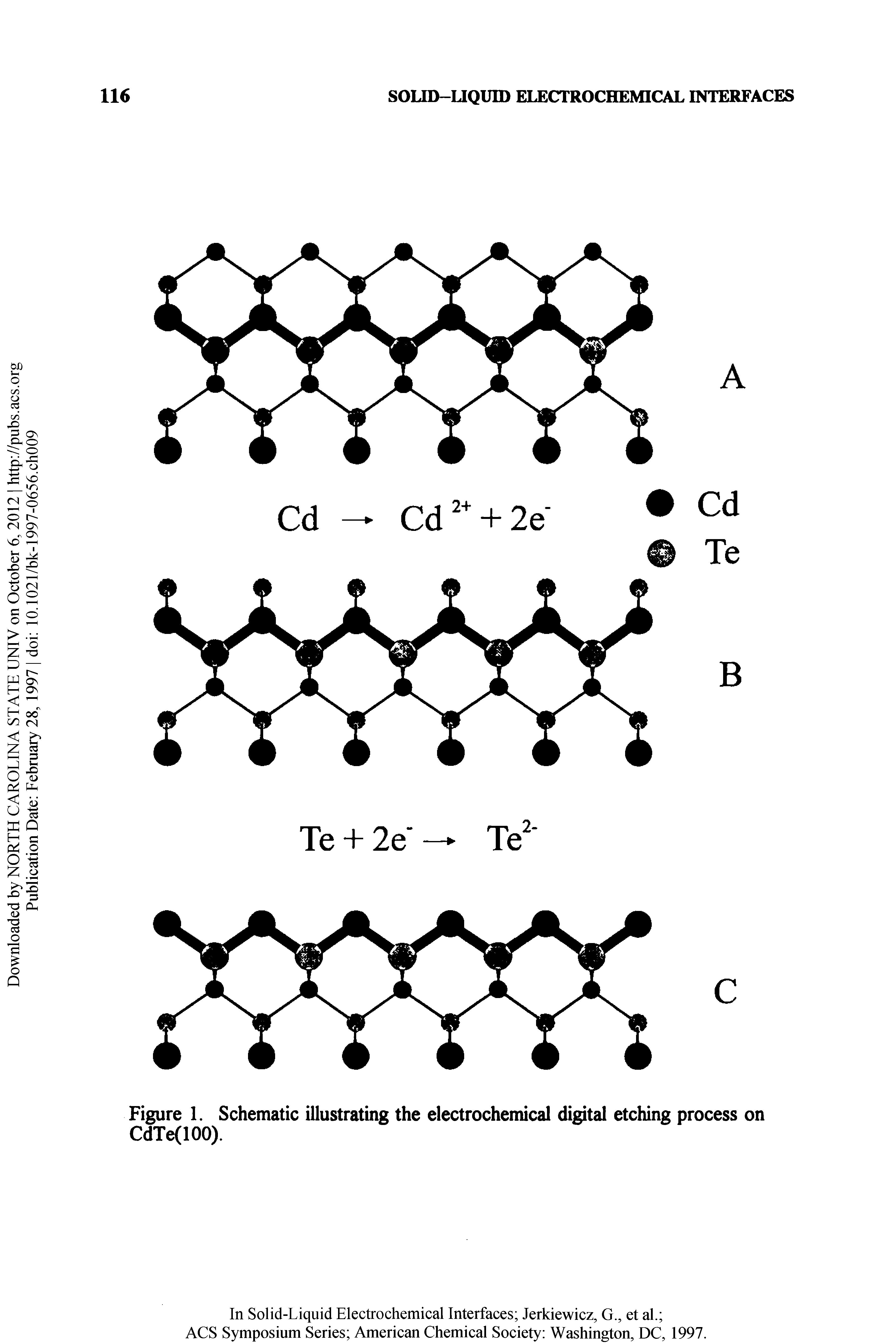 Figure 1. Schematic illustrating the electrochemical digital etching process on CdTe(100).