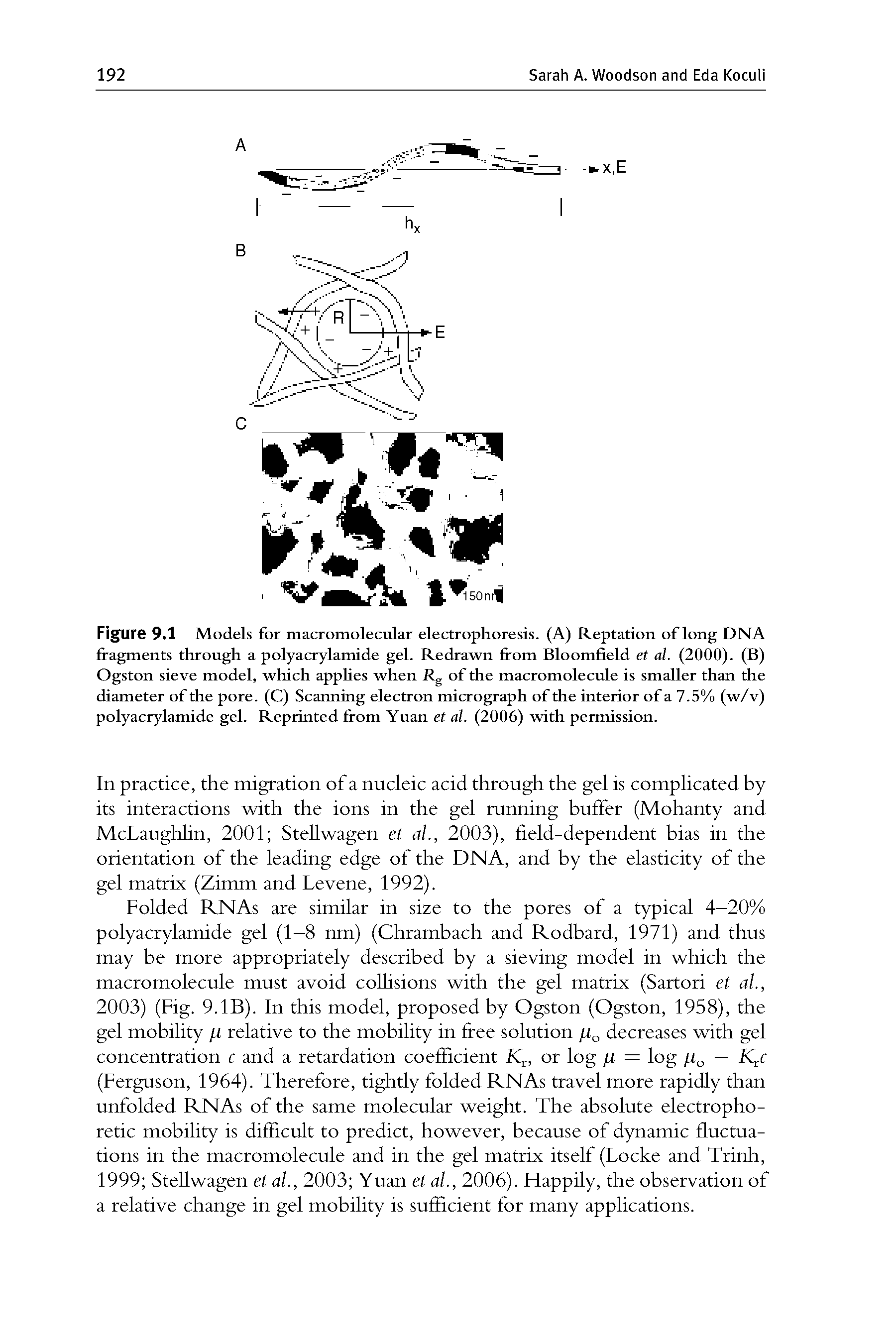 Figure 9.1 Models for macromolecular electrophoresis. (A) Reptation of long DNA fragments through a polyacrylamide gel. Redrawn from Bloomfield et al. (2000). (B) Ogston sieve model, which applies when Rg of the macromolecule is smaller than the diameter of the pore. (C) Scanning electron micrograph of the interior of a 7.5% (w/v) polyacrylamide gel. Reprinted from Yuan et al. (2006) with permission.