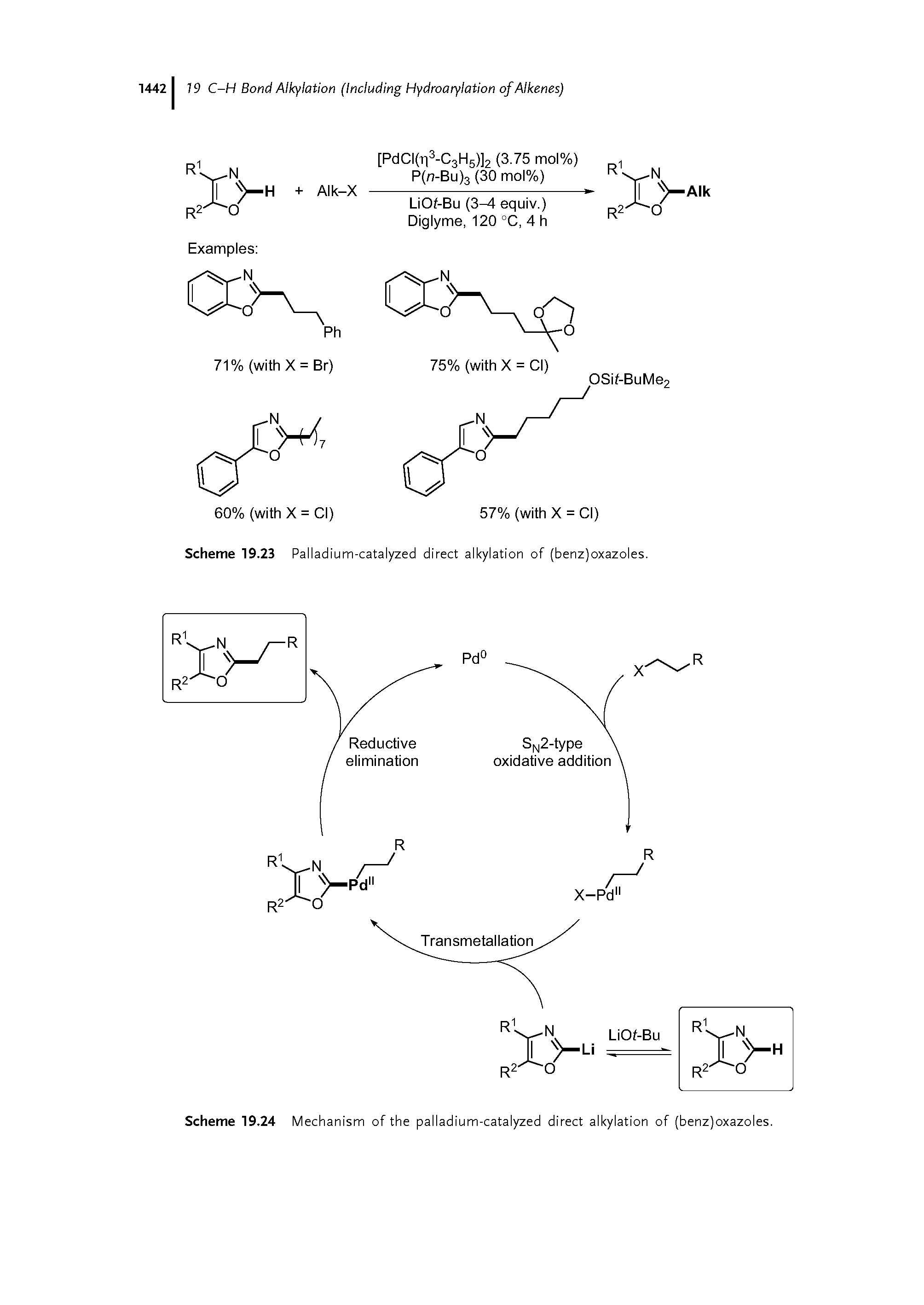 Scheme 19.23 Palladium-catalyzed direct alkylation of (benz)oxazoles.