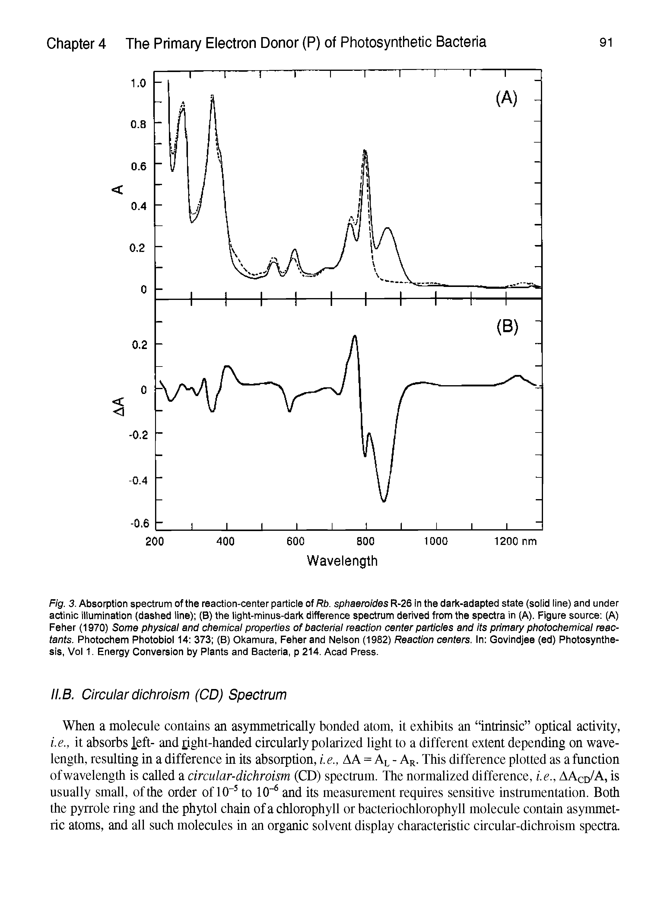 Fig. 3. Absorption spectrum of the reaction-center particie of Rb. sphaeroides R-26 in the dark-adapted state (soiid line) and under actinic illumination (dashed line) (B) the light-minus-dark difference spectrum derived from the spectra in (A). Figure source (A) Feher (1970) Some physical and chemical properties of bacteria reaction center particles and its primary photochemical reactants. Photochem Photobiol 14 373 (B) Okamura, Feher and Nelson (1982) Reaction centers. In Govindjee (ed) Photosynthesis, Vol 1. Energy Conversion by Plants and Bacteria, p 214. Acad Press.