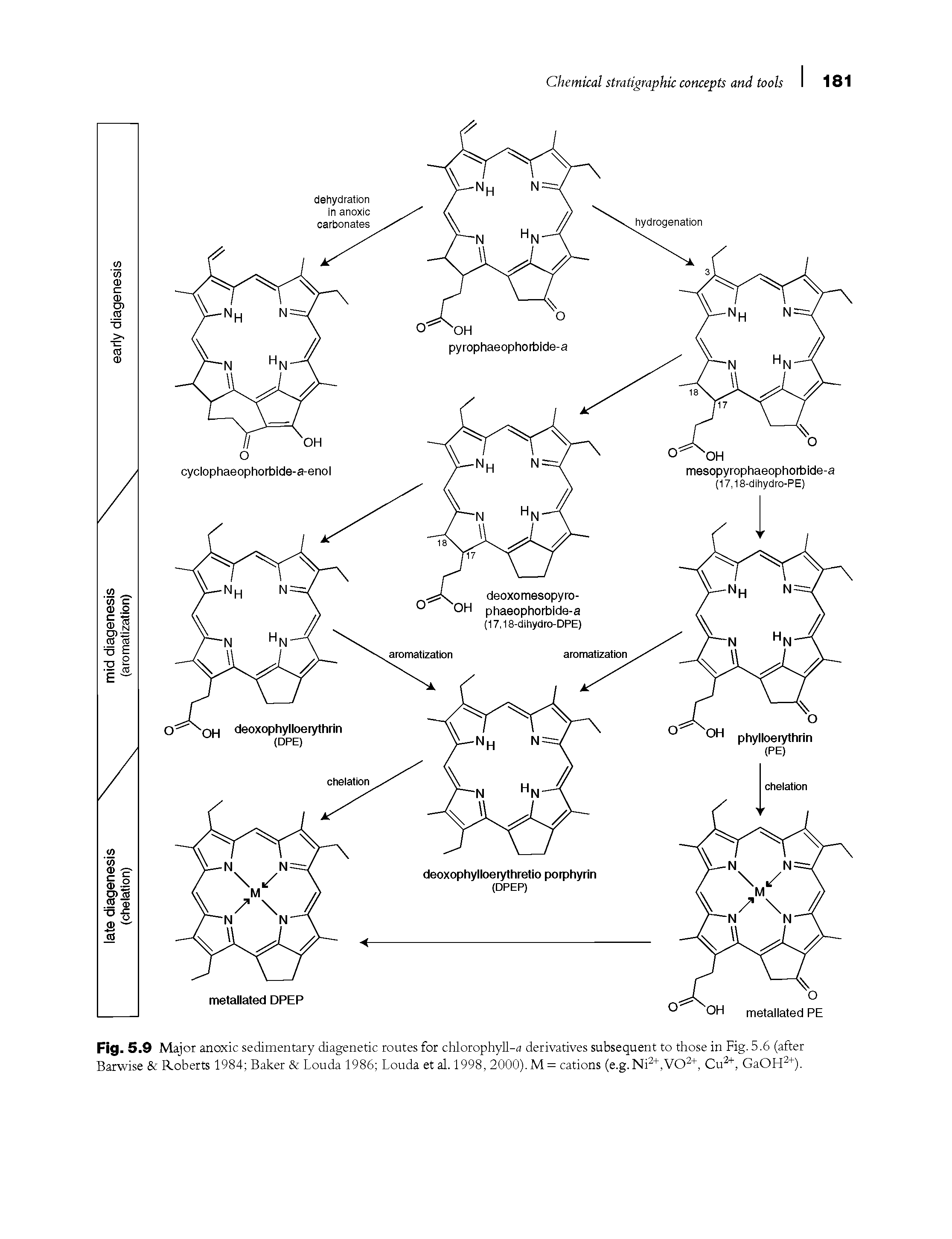 Fig. 5. 9 Major anoxic sedimentary diagenetic routes for chlorophyll-a derivatives subsequent to those in Fig. 5.6 (after Barwise Roberts 1984 Baker Louda 1986 Louda et al. 1998, 2000).M= cations (e.g.Ni2+,V02+, Cu2+, GaOH2+).