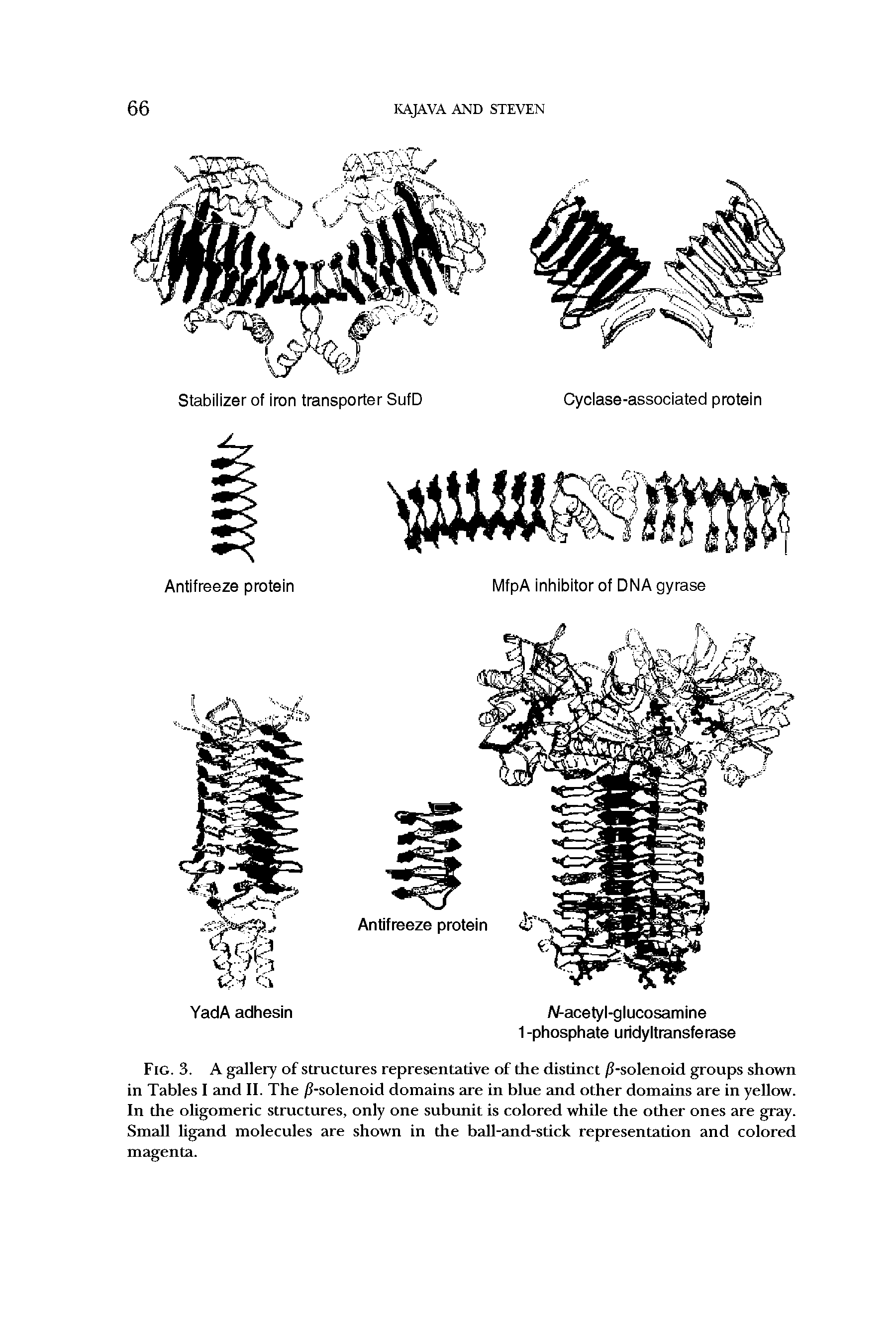 Fig. 3. A gallery of structures representative of the distinct /8-solenoid groups shown in Tables I and II. The /8-solenoid domains are in blue and other domains are in yellow. In the oligomeric structures, only one subunit is colored while the other ones are gray. Small ligand molecules are shown in the ball-and-stick representation and colored magenta.