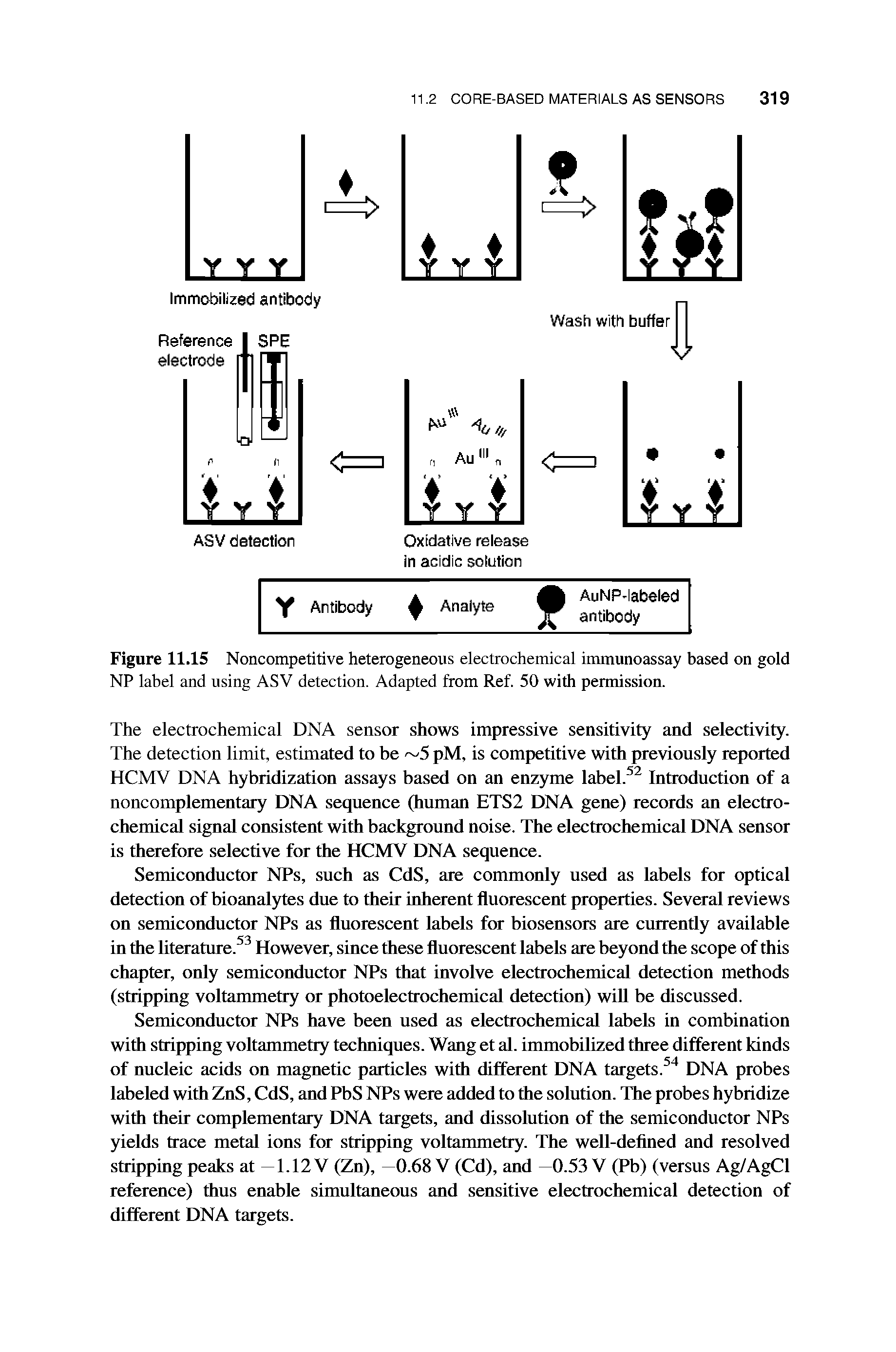 Figure 11.15 Noncompetitive heterogeneous electrochemical immunoassay based on gold NP label and using ASV detection. Adapted from Ref. 50 with permission.