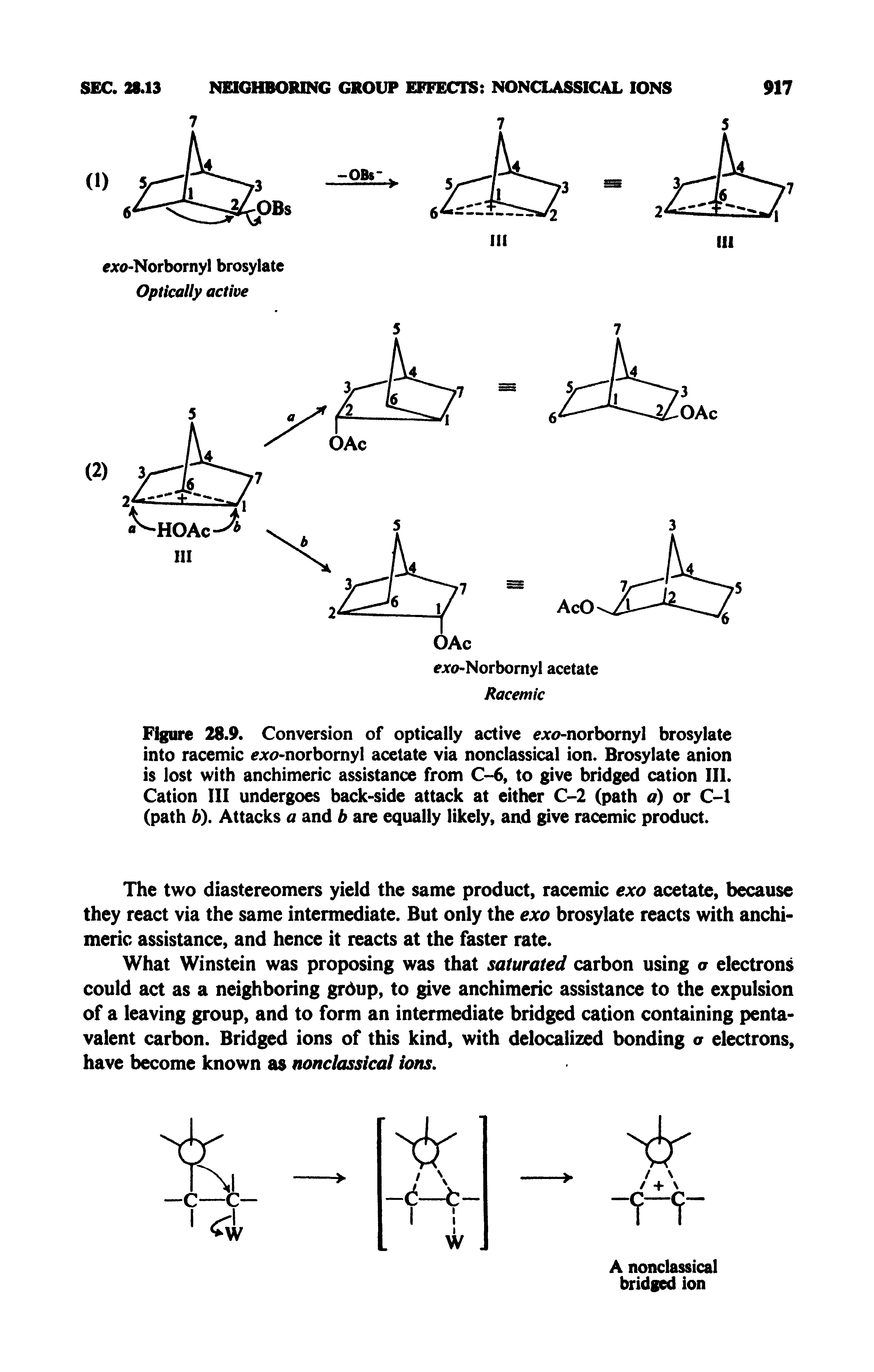 Figure 28.9. Conversion of optically active e c< -norbornyl brosylate into racemic x( >norbornyl acetate via nonclassical ion. Brosylate anion is lost with anchimeric assistance from C-6, to give bridged cation III. Cation III undergoes back-side attack at either C-2 (path a) or C-1 (path b). Attacks a and b are equally likely, and give racemic product.
