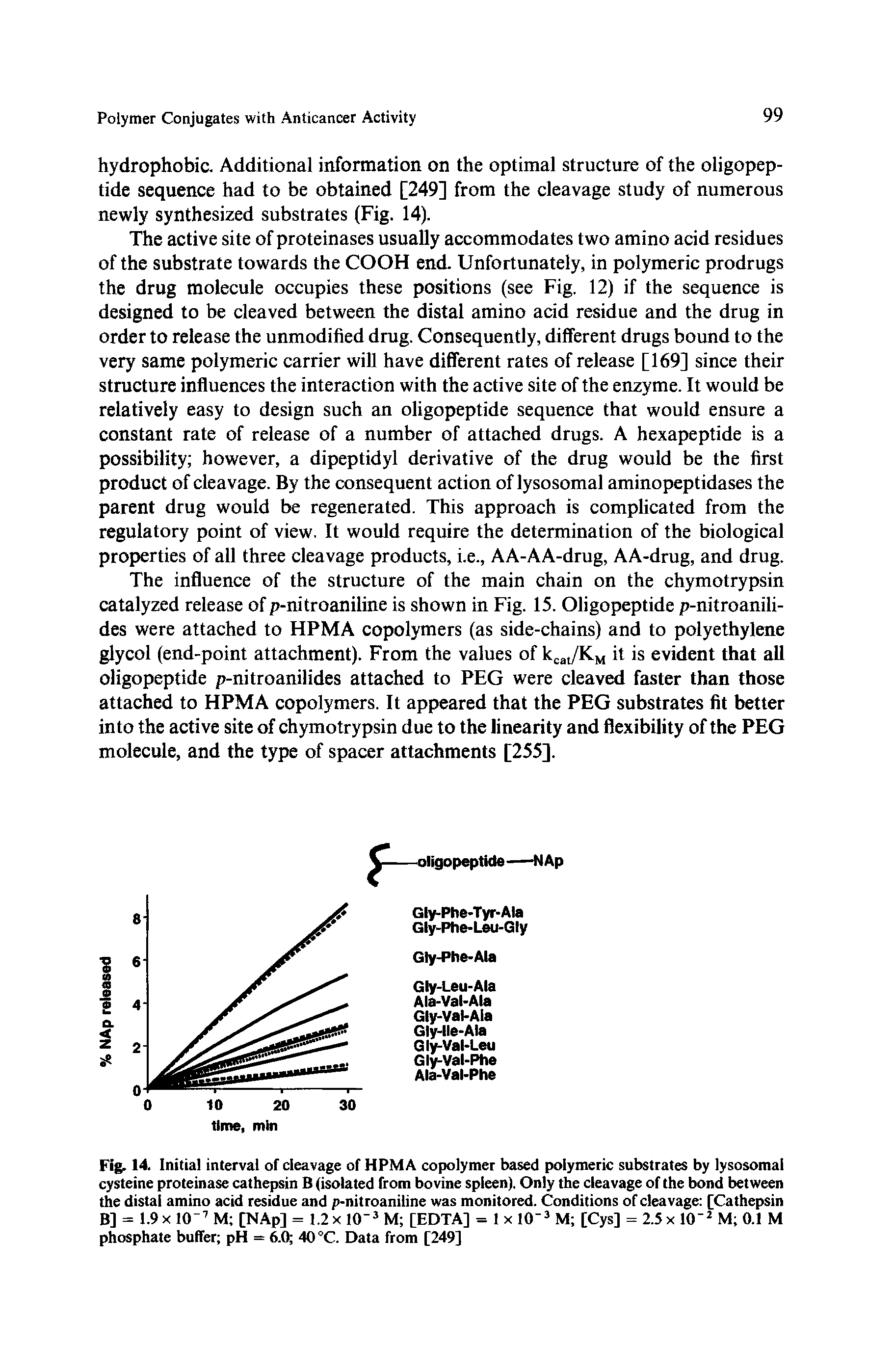 Fig. 14. Initial interval of cleavage of HPMA copolymer based polymeric substrates by lysosomal cysteine proteinase cathepsin B (isolated from bovine spleen). Only the cleavage of the bond between the distal amino acid residue and p-nitroaniline was monitored. Conditions of cleavage [Cathepsin B] = 1.9 x 10 7 M [NAp] = 1.2 x 1(T3 M [EDTA] = 1 x 10 3 M [Cys] = 2.5 x 10 2 M 0.1 M phosphate buffer pH = 6.0 40 °C. Data from [249]...