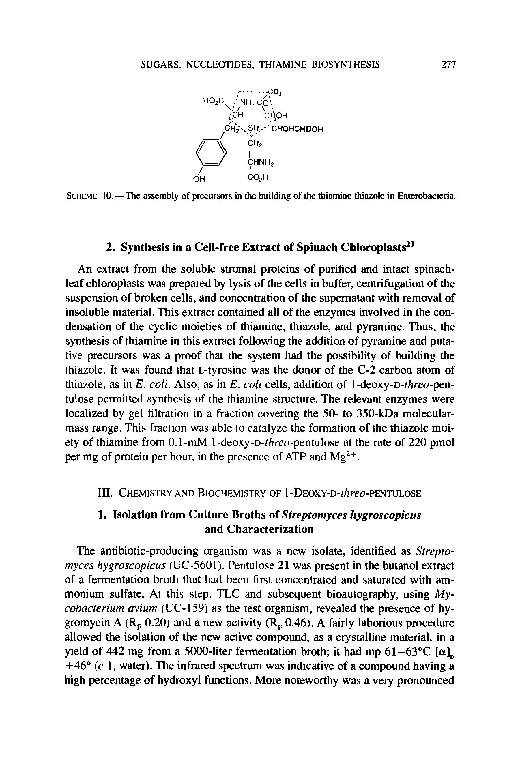 Scheme 10.—The assembly of precursors in the building of the thiamine thiazole in Enterobacteria.