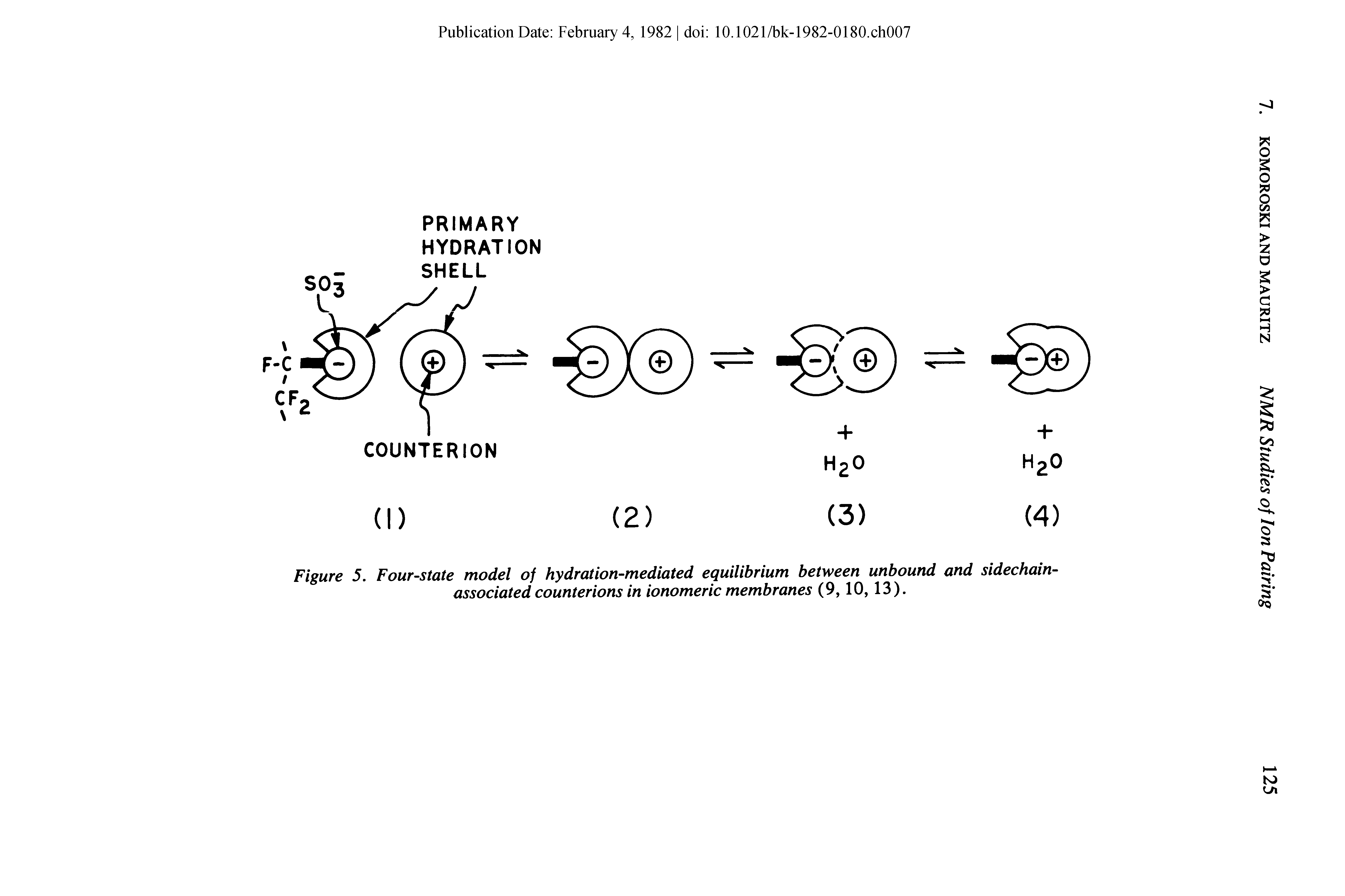 Figure 5. Four-state model of hydration-mediated equilibrium between unbound and sidechain-associated counterions in ionomeric membranes (9,10, 13).