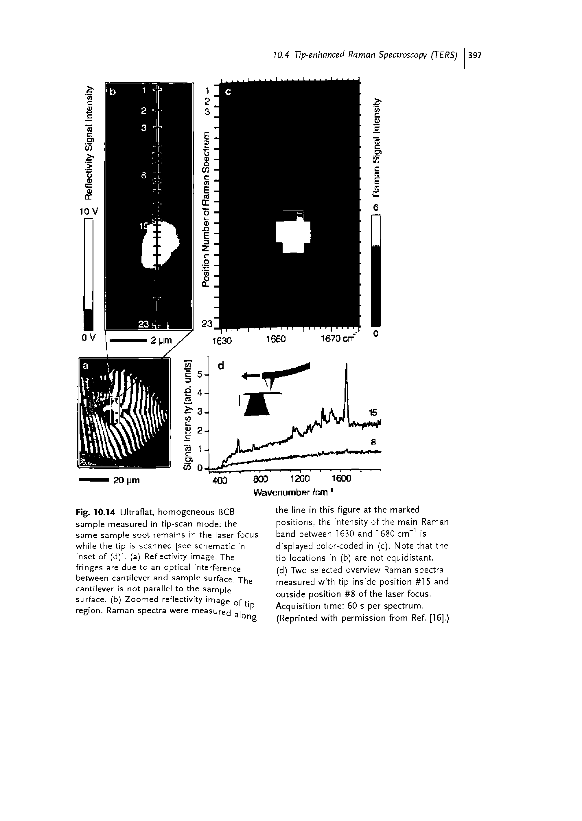 Fig. 10.14 Ultraflat, homogeneous BCB sample measured in tip-scan mode the same sample spot remains in the laser focus while the tip is scanned [see schematic in inset of (d)]. (a) Reflectivity image, The fringes are due to an optical interference between cantilever and sample surface. The cantilever is not parallel to the sample surface, (b) Zoomed reflectivity image of tip region. Raman spectra were measured along...