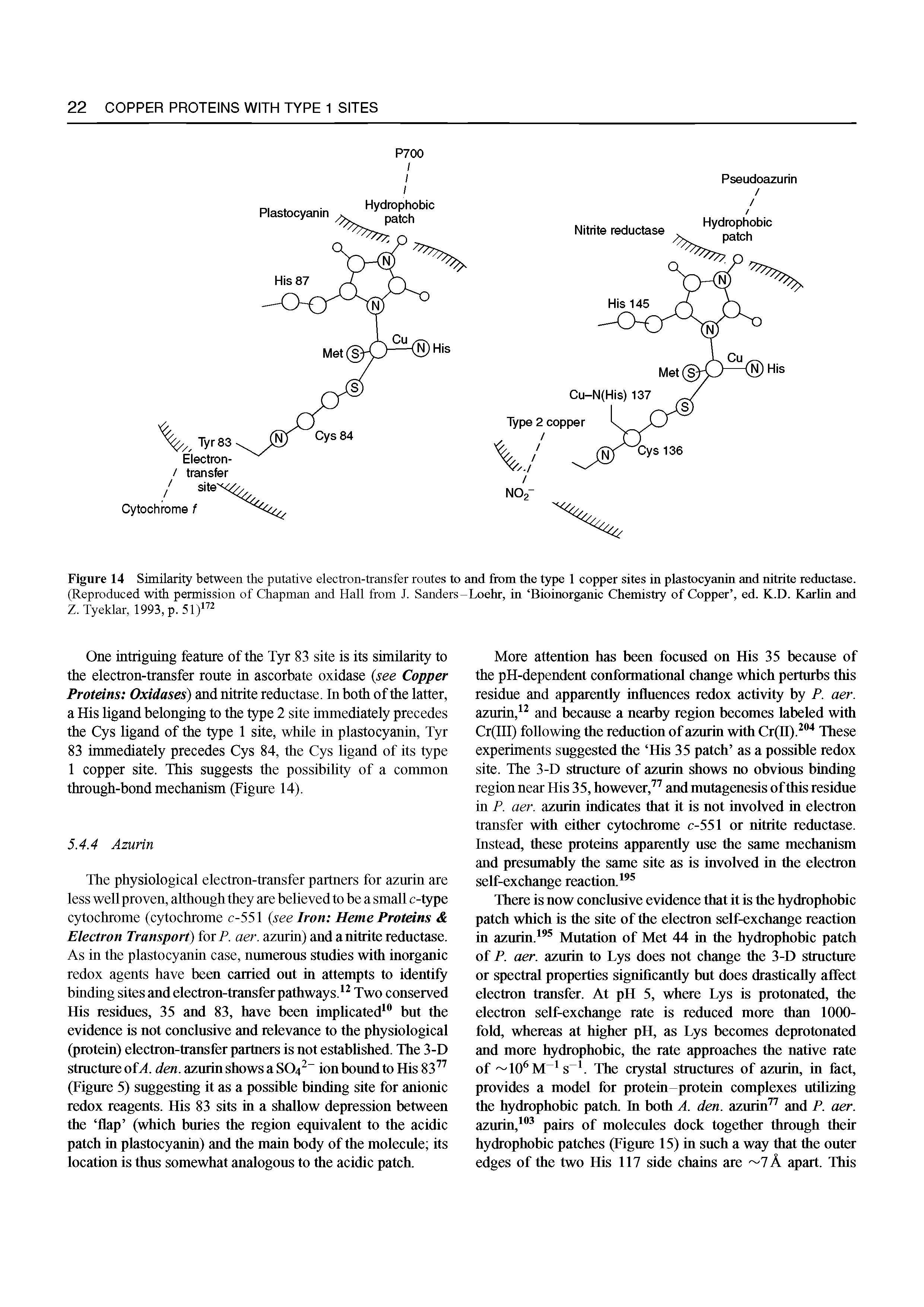 Figure 14 Similarity between the putative electron-transfer routes to and from the type 1 copper sites in plastocyanin and nitrite reductase. (Reproduced with permission of Chapman and Hall from J. Sanders-Loehr, in Bioinorganic Chemistry of Copper , ed. K.D. Karlin and Z. Tyeklar, 1993, p. 51) ...