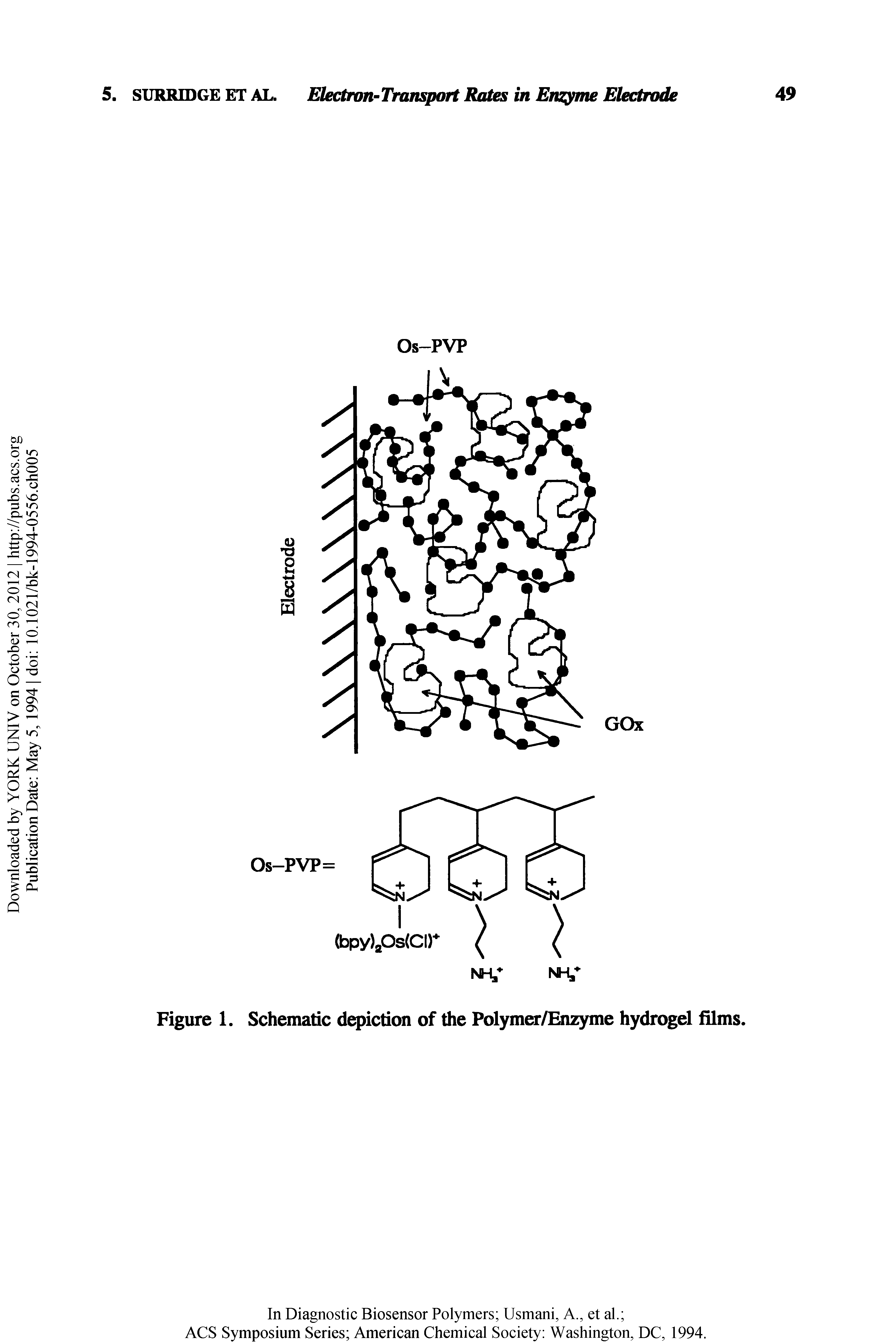 Figure 1. Schematic depiction of the Polymer/Enzyme hydrogel films.