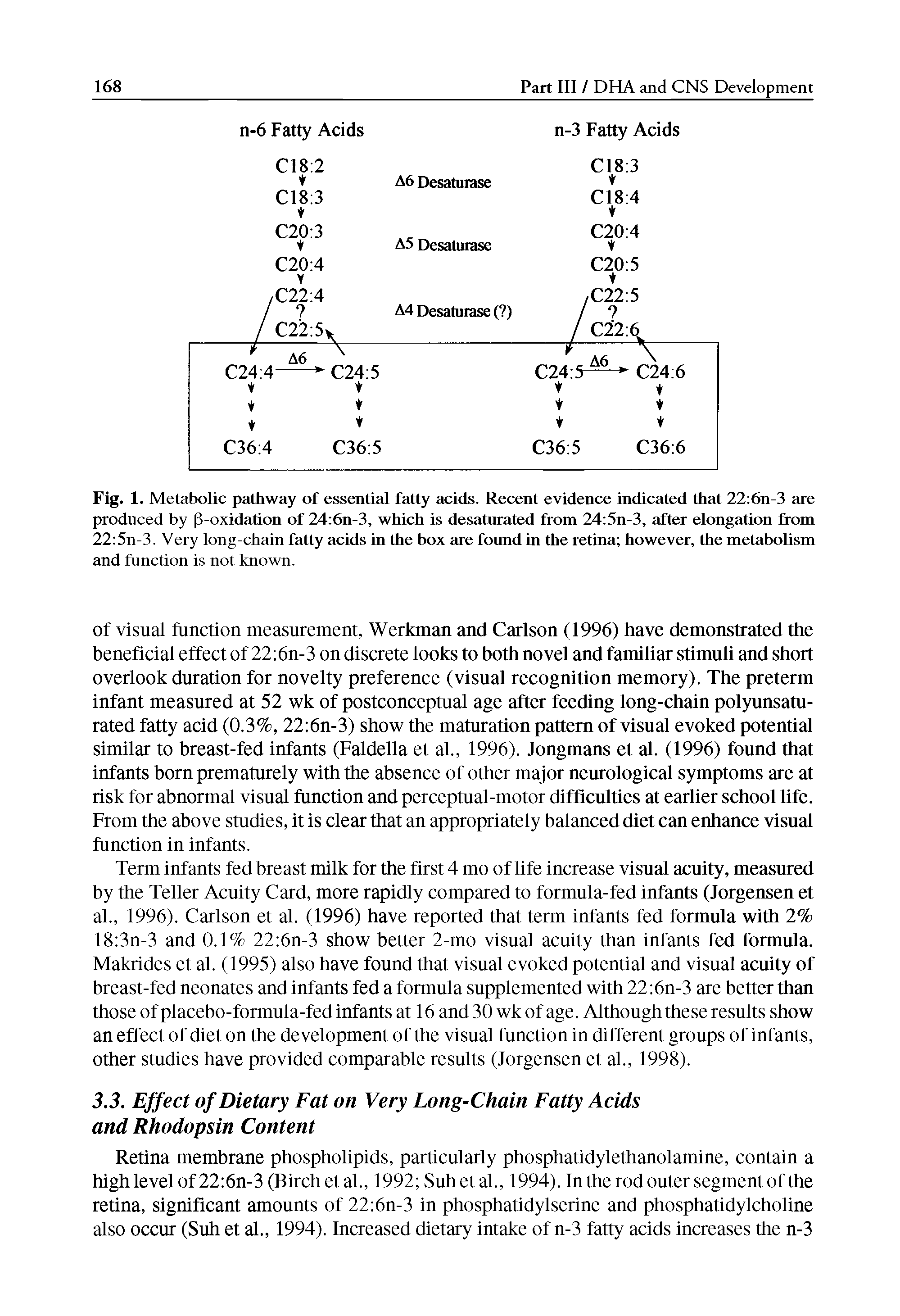 Fig. 1. Metabolic pathway of essential fatty acids. Recent evidence indicated that 22 6n-3 are produced by [l-oxidation of 24 6n-3, which is desaturated from 24 5n-3, after elongation from 22 5n-3. Very long-chain fatty acids in the box are found in the retina however, the metabolism and function is not known.