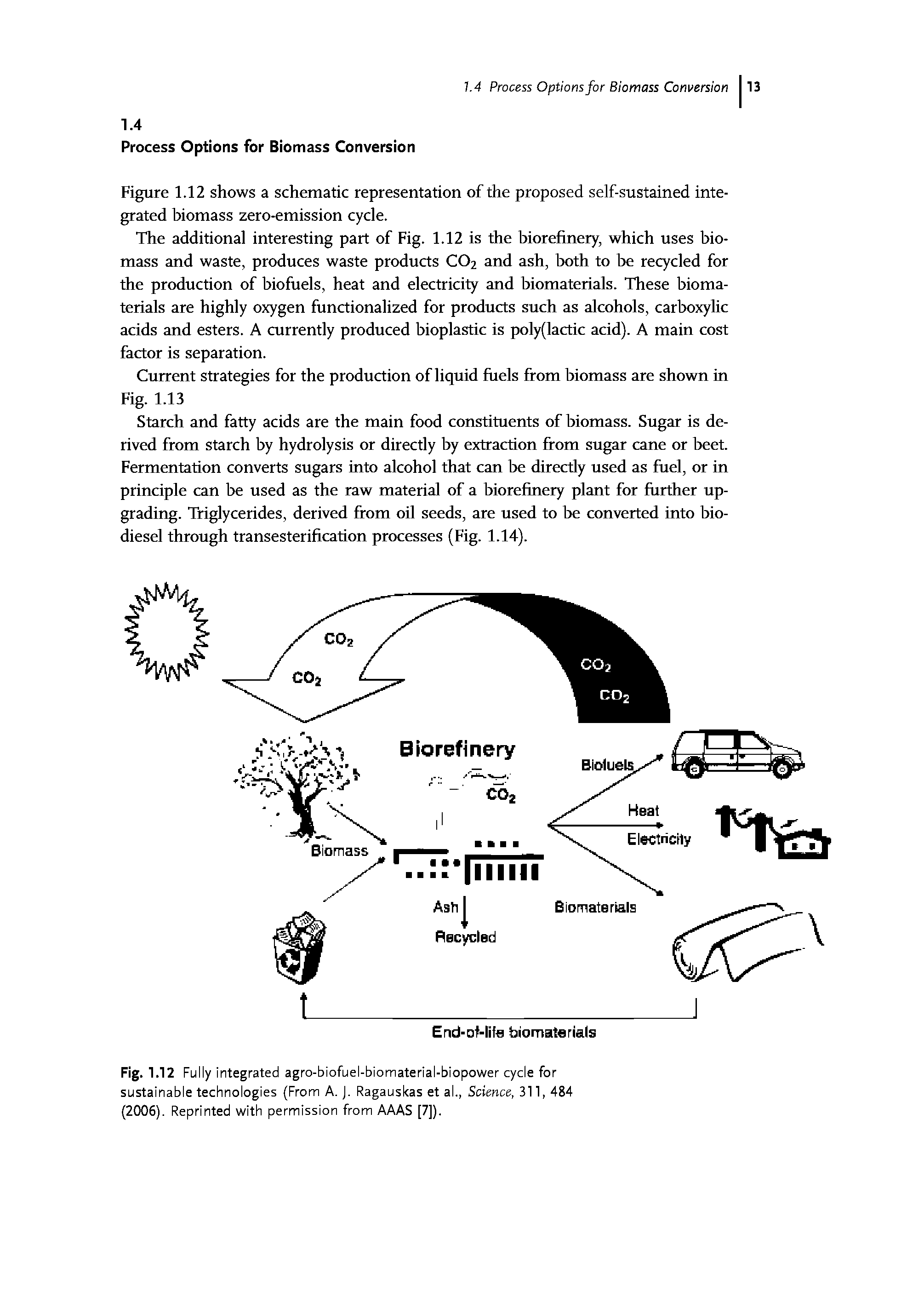 Fig. 1.12 Fully integrated agro-biofuel-biomaterial-biopower cycle for sustainable technologies (From A. J. Ragauskas et al., Science, 311,484 (2006). Reprinted with permission from AAAS [7]).