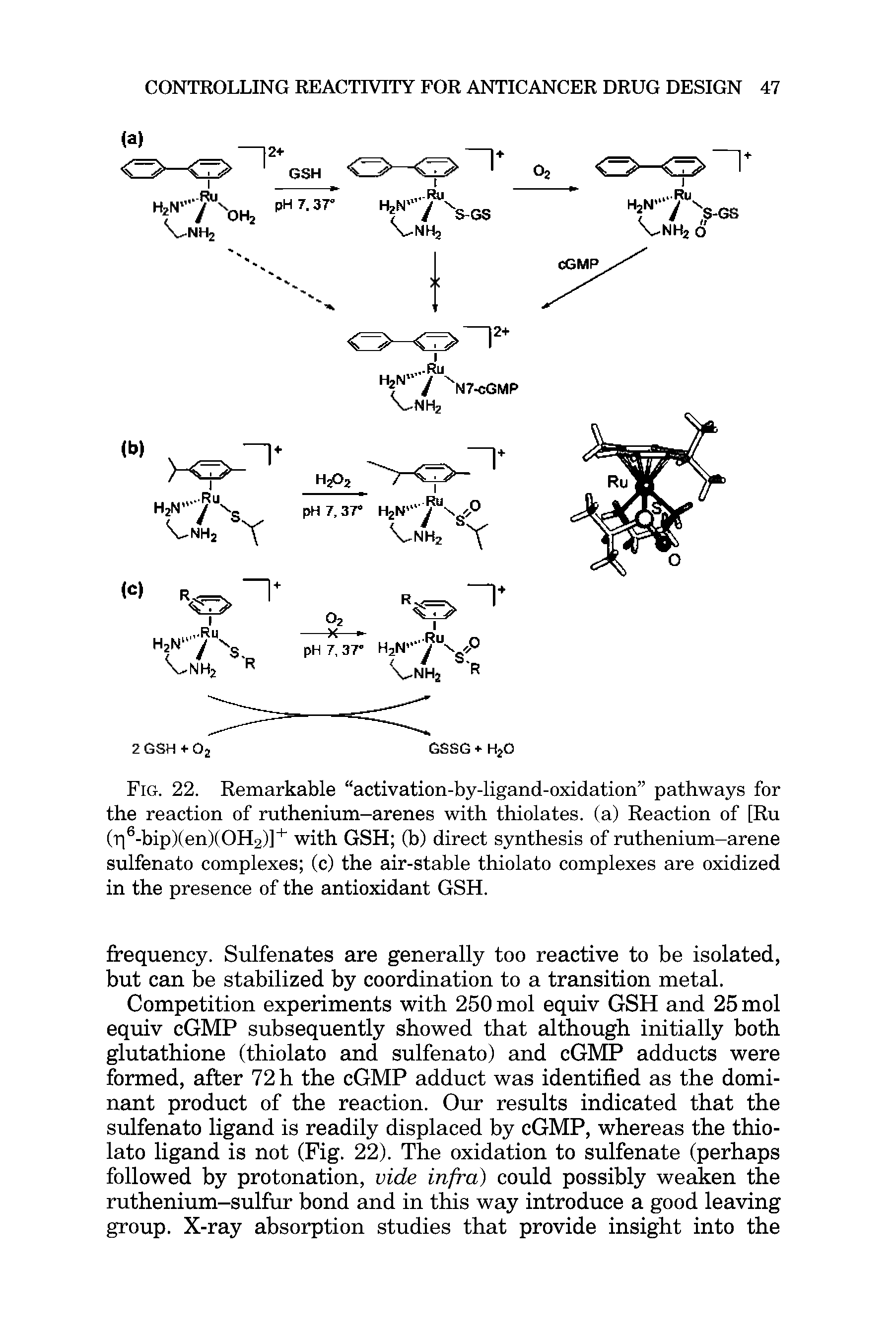 Fig. 22. Remarkable activation-by-ligand-oxidation pathways for the reaction of ruthenium-arenes with thiolates. (a) Reaction of [Ru (r 6-bip)(en)(OH2)]+ with GSH (b) direct synthesis of ruthenium-arene sulfenato complexes (c) the air-stable thiolato complexes are oxidized in the presence of the antioxidant GSH.