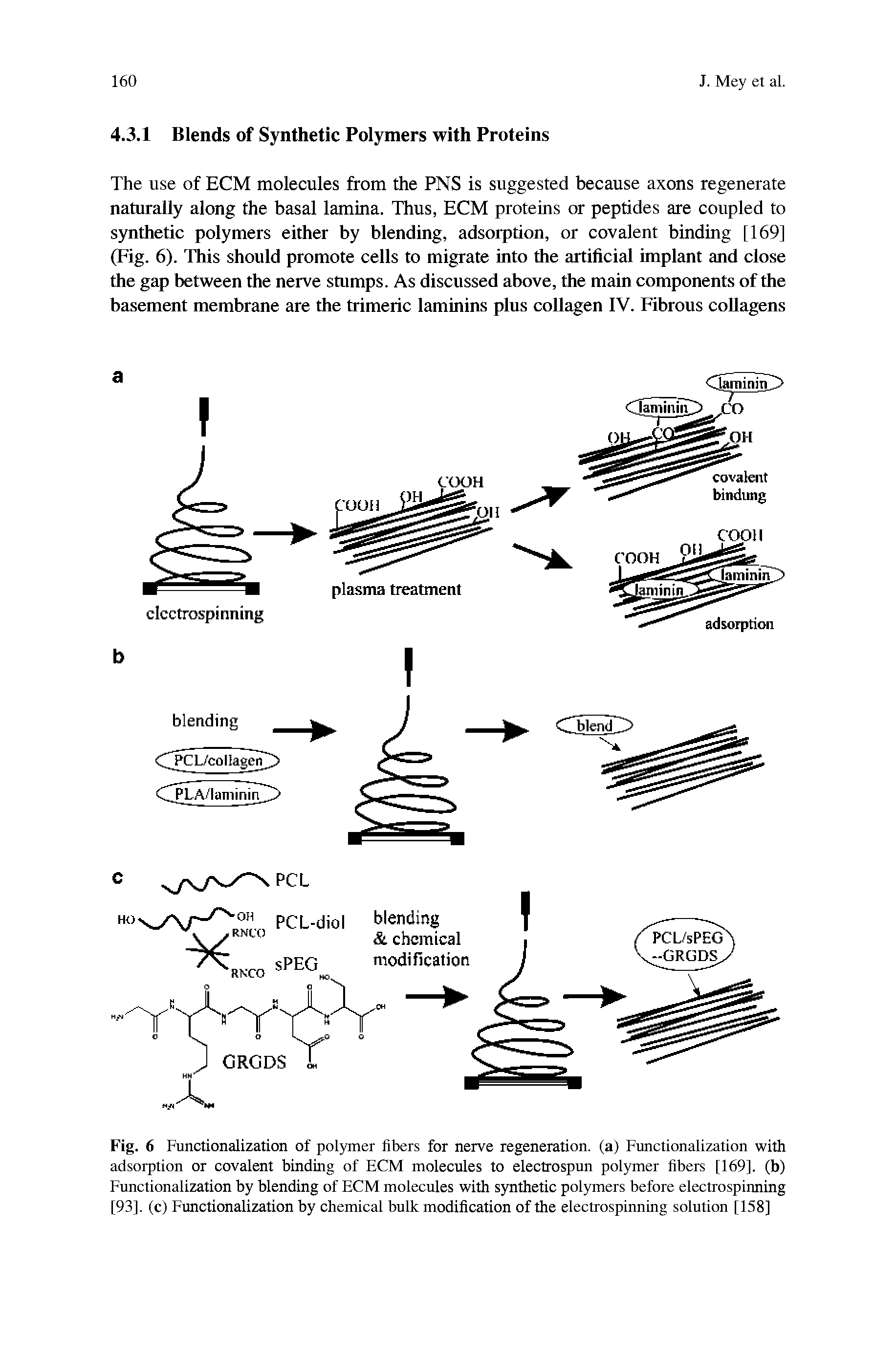 Fig. 6 Functionalization of polymer fibers for nerve regeneration, (a) Functionalization with adsorption or covalent binding of ECM molecules to electrospun polymer fibers [169]. (b) Functionalization by blending of ECM molecules with synthetic polymers before electrospinning [93]. (c) Functionalization by chemical bulk modification of the electrospinnuig solution [158]...
