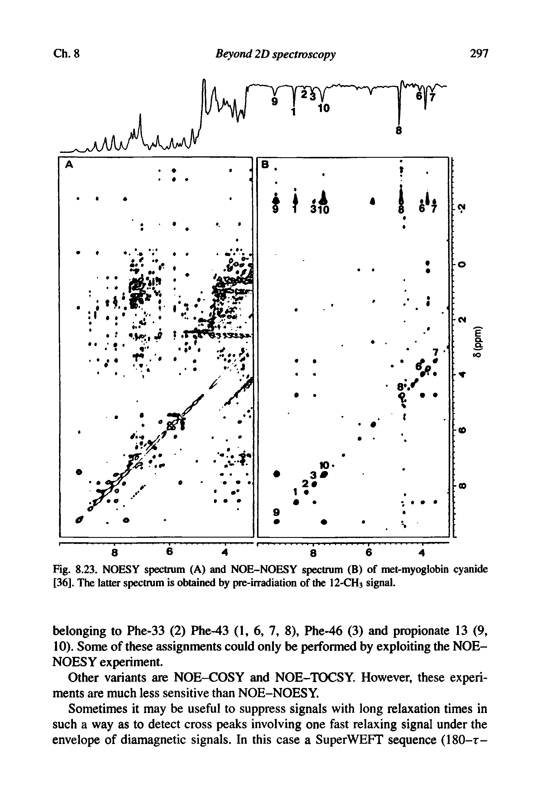 Fig. 8.23. NOESY spectrum (A) and NOE-NOESY spectrum (B) of met-myoglobin cyanide [36], The latter spectrum is obtained by pre-irradiation of the I2-CH3 signal.