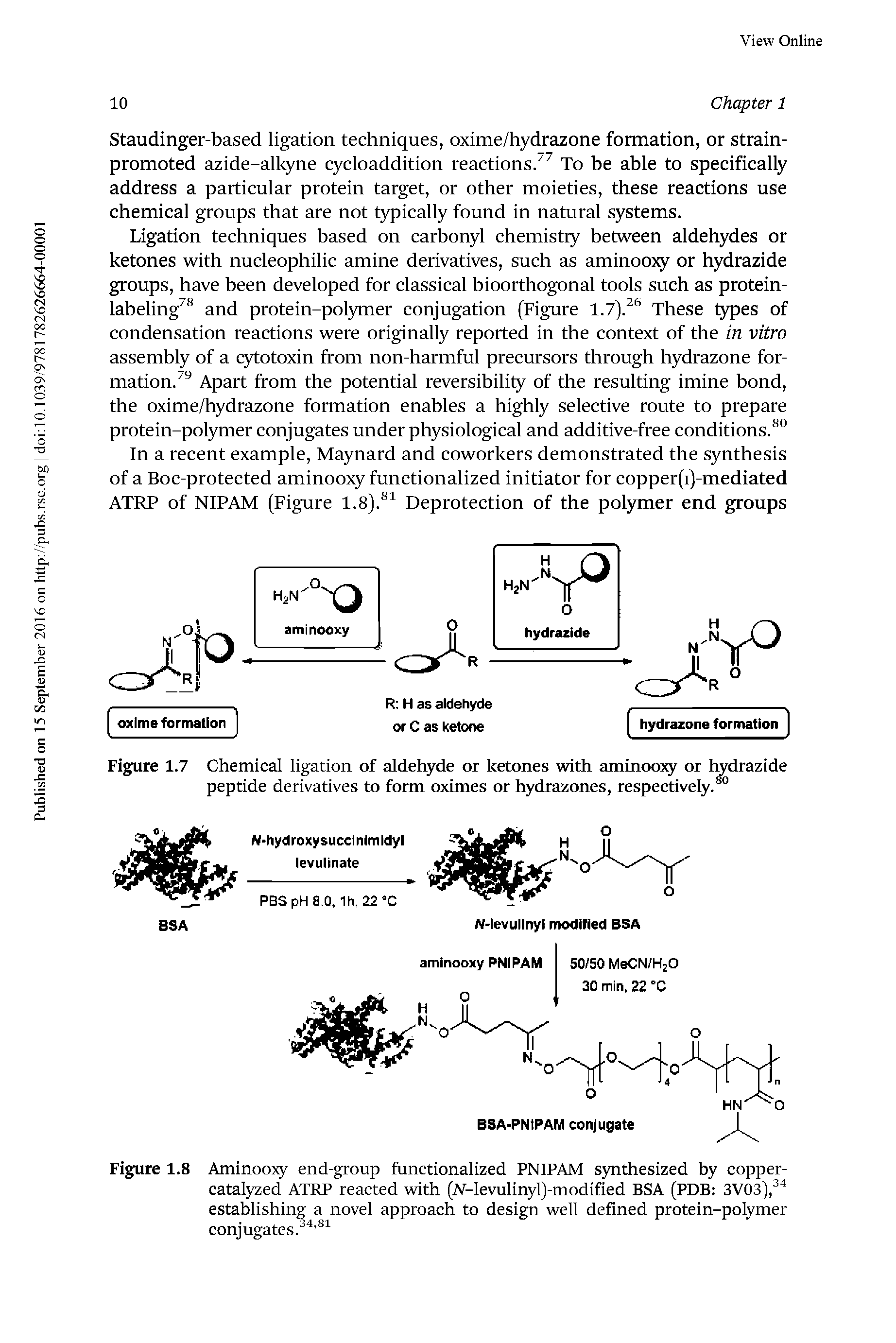 Figure 1.7 Chemical ligation of aldehyde or ketones with aminoojy or hydrazide peptide derivatives to form oximes or hydrazones, respectively. ...