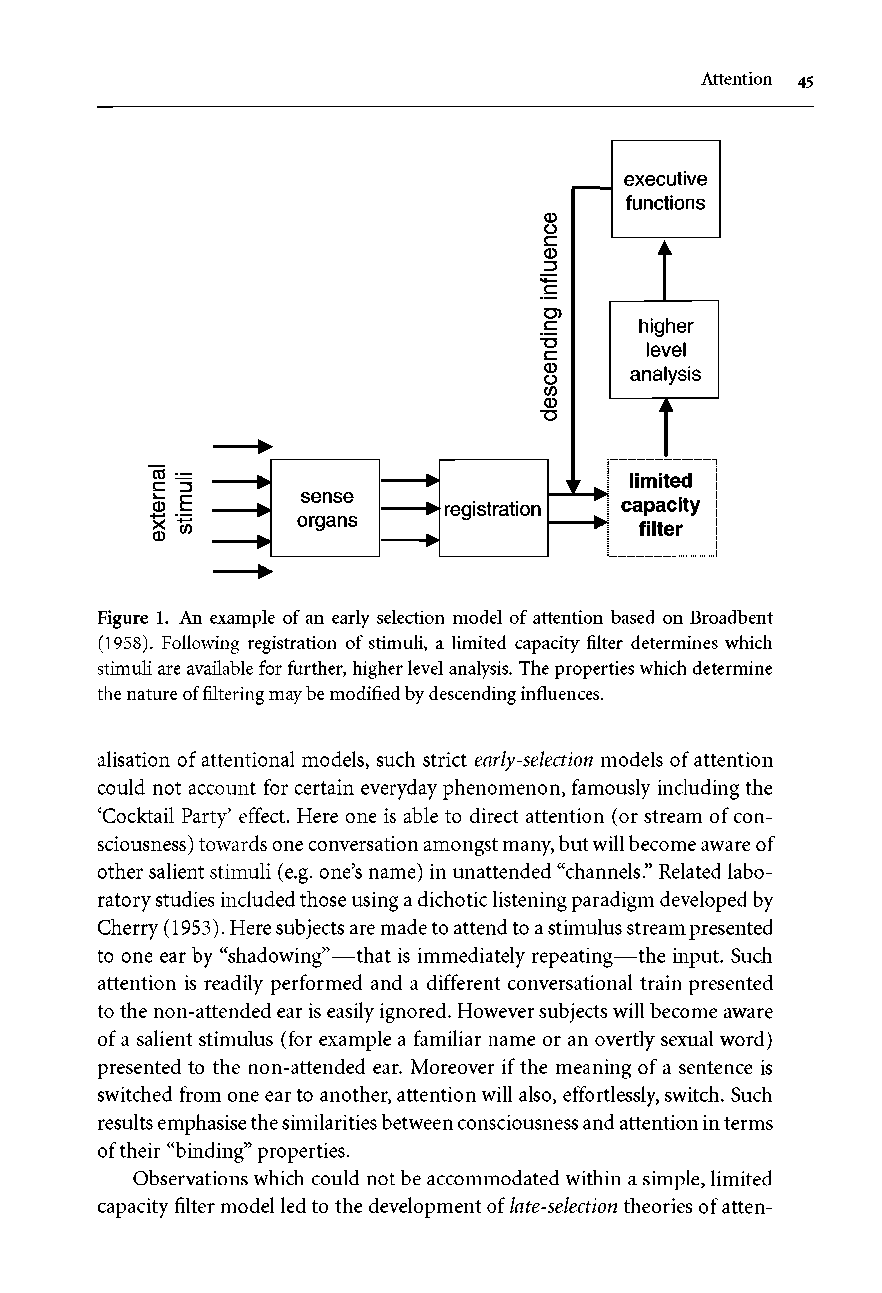 Figure 1. An example of an early selection model of attention based on Broadbent (1958). Following registration of stimuli, a limited capacity filter determines which stimuli are available for further, higher level analysis. The properties which determine the nature of filtering may be modified by descending influences.