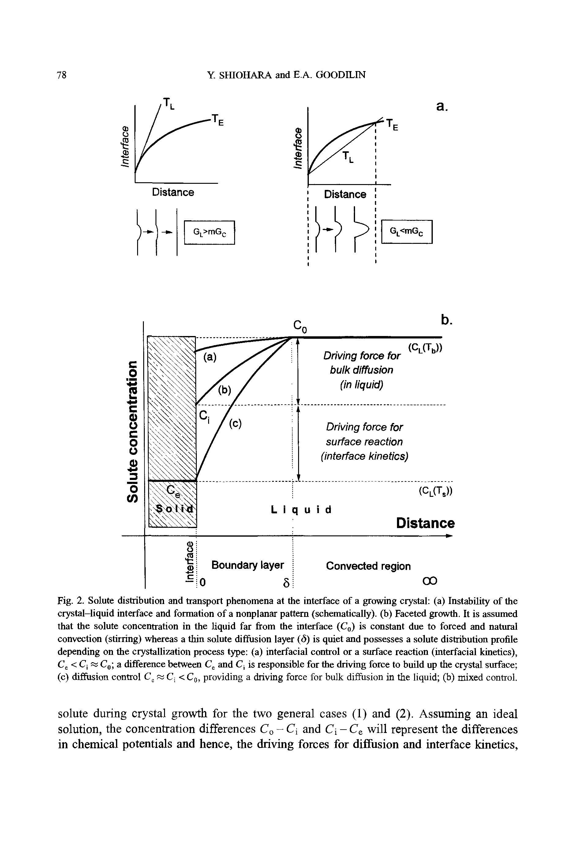 Fig. 2. Solute distribution and transport phenomena at the interface of a growing crystal (a) Instability of the crystal-liquid interface and formation of a nonplanar pattern (schematically), (b) Faceted growth. It is assumed that the solute concentration in the liquid far from the interface (Cq) is constant due to forced and natural convection (stirring) whereas a thin solute diffusion layer (S) is quiet and possesses a solute distribution profile depending on the crystallization process type (a) interfacial control or a surface reaction (interfacial kinetics), Ce < C RJ C a difference between Cj and Cj is responsible for the driving force to buUd up the crystal surface (c) diffusion control Cj < Cj, providing a driving force for bulk diffusion in the liquid (b) mixed control.