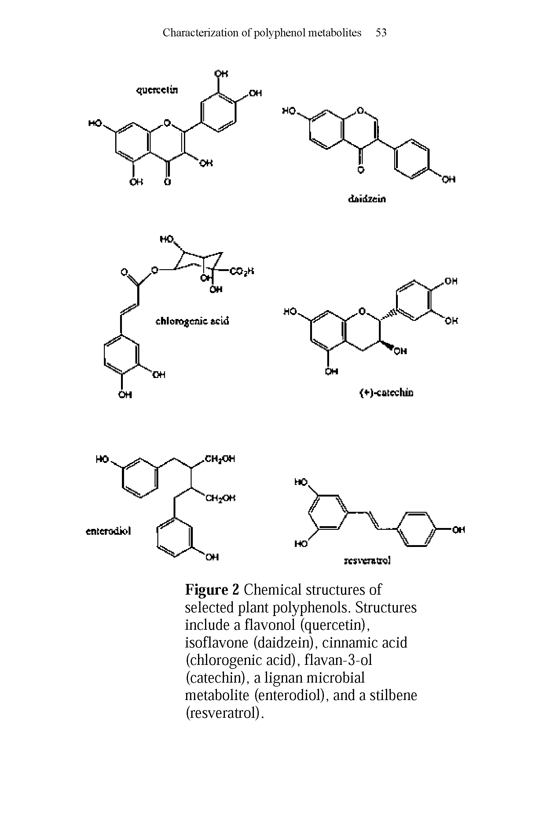 Figure 2 Chemical structures of selected plant polyphenols. Structures include a flavonol (quercetin), isoflavone (daidzein), cinnamic acid (chlorogenic acid), flavan-3-ol (catechin), a lignan microbial metabolite (enterodiol), and a stilbene (resveratrol).