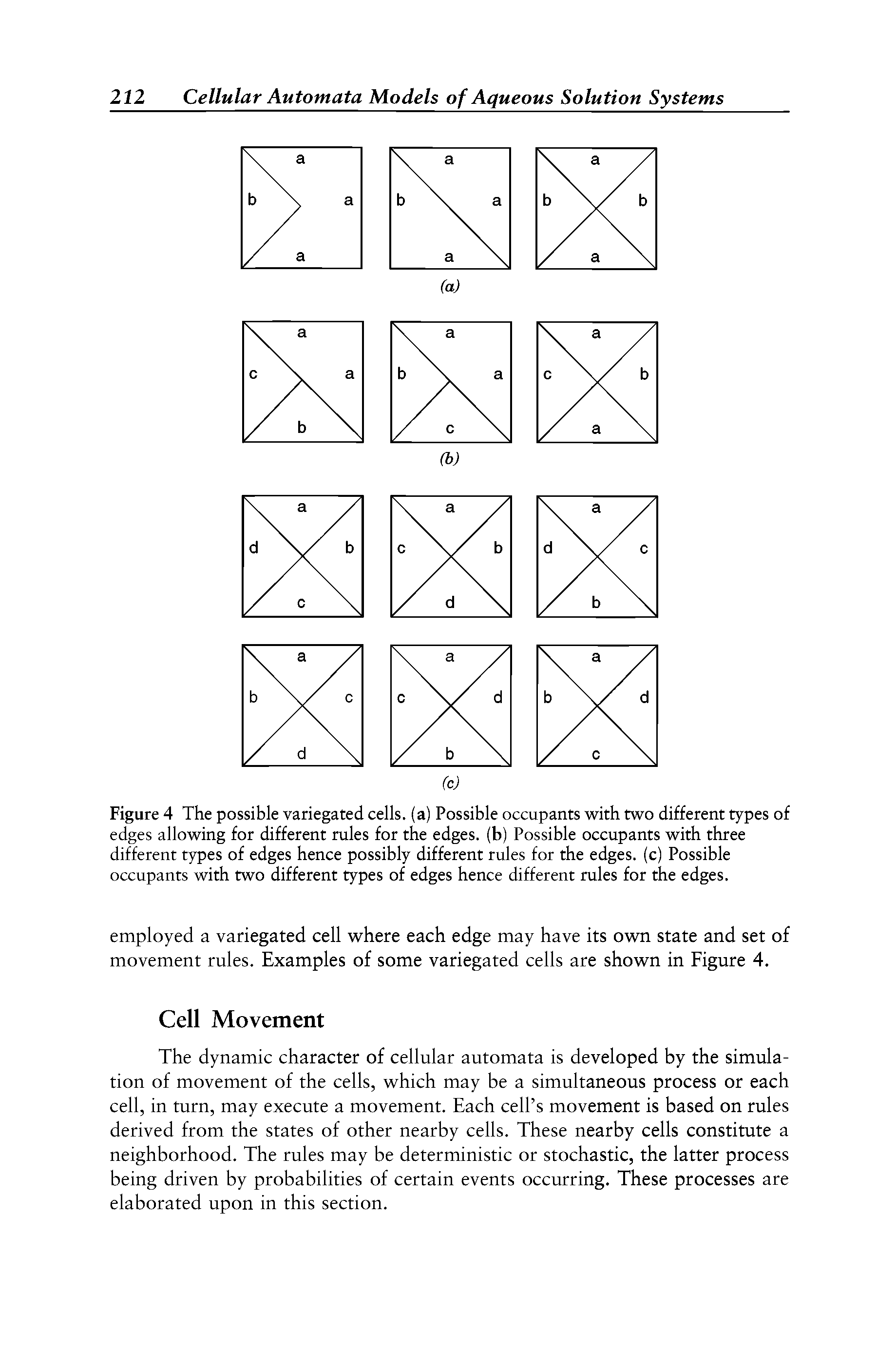 Figure 4 The possible variegated cells, (a) Possible occupants with two different types of edges allowing for different rules for the edges, (b) Possible occupants with three different types of edges hence possibly different rules for the edges, (c) Possible occupants with two different types of edges hence different rules for the edges.