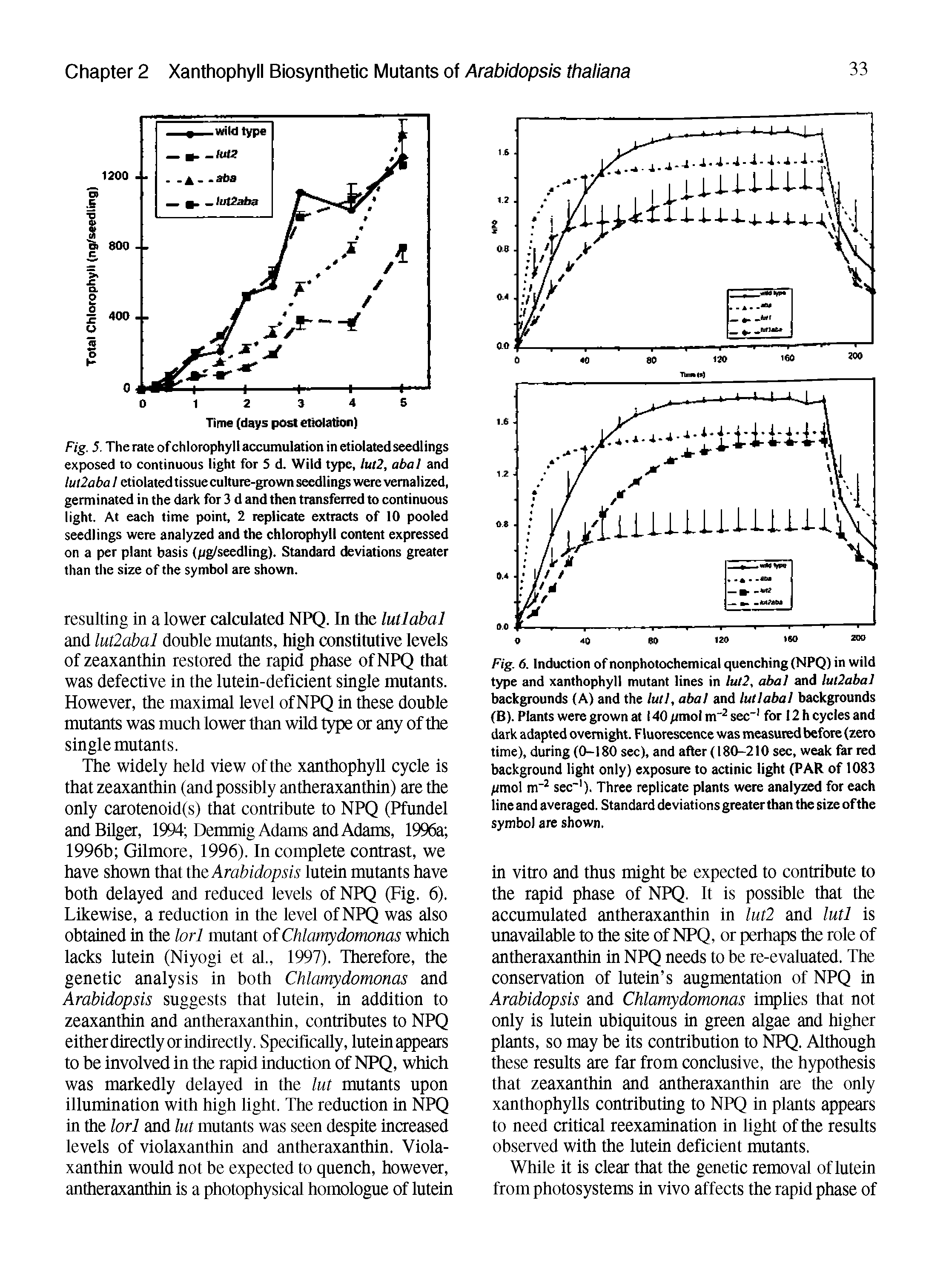 Fig. 5. The rate of chlorophyll accumulation in etiolated seedlings exposed to continuous light for 5 d. Wild type, lut2, abal and Iul2aba I etiolated tissue culture-grown seedlings were vernalized, germinated in the dark for 3 d and then transferred to continuous light. At each time point, 2 replicate extracts of 10 pooled seedlings were analyzed and the chlorophyll content expressed on a per plant basis (pg/seedling). Standard deviations greater than the size of the symbol are shown.