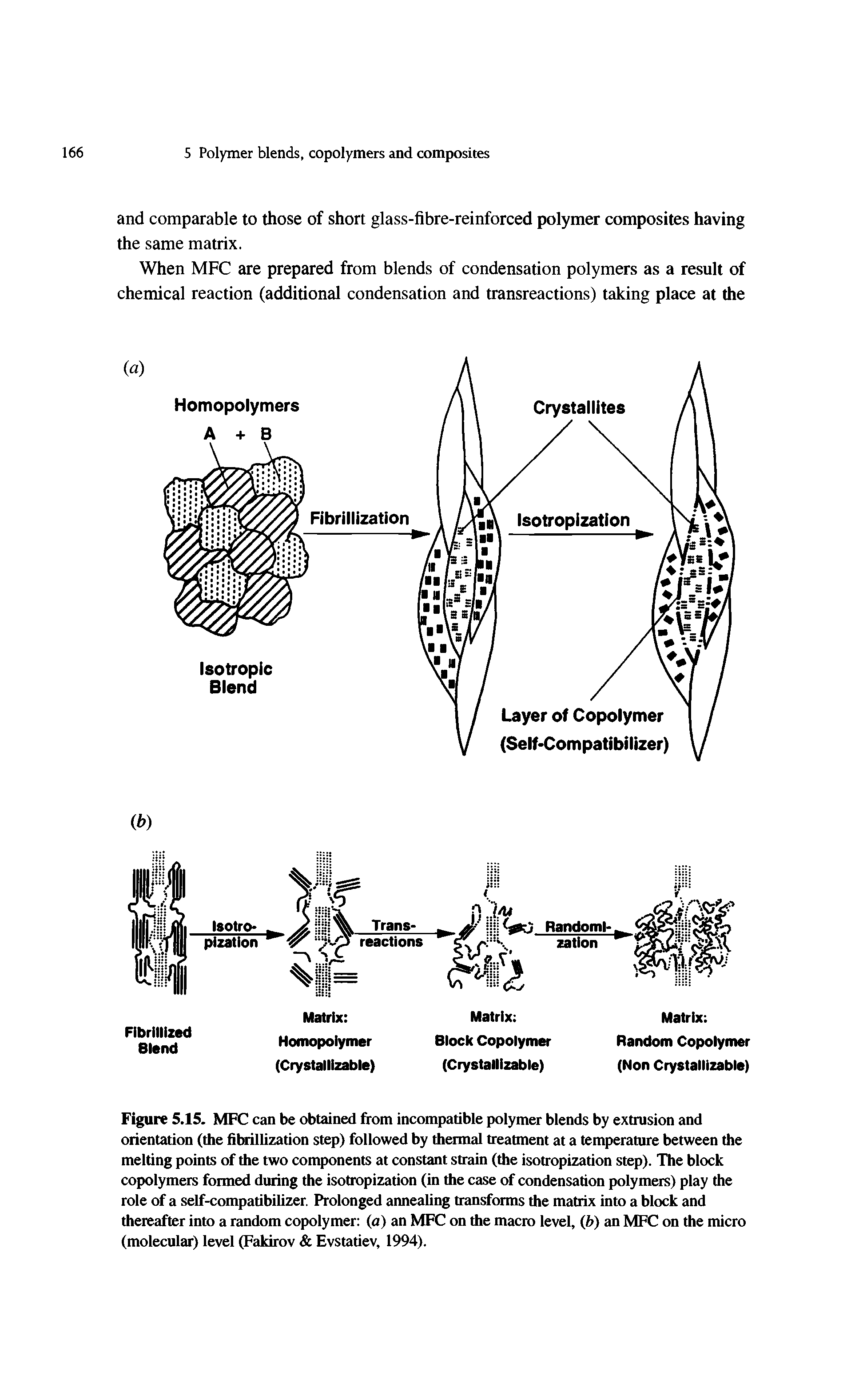 Figure 5.15. MFC can be obtained from incompatible polymer blends by extrusion and orientation (the fibrillization step) followed by thermal treatment at a temperature between the melting points of the two components at constant strain (the isotropization step). The block copolymers formed during the isotropization (in the case of condensation polymers) play the role of a self-compatibilizer. Prolonged annealing transforms the matrix into a block and thereafter into a random copolymer (a) an MFC on the macro level, (b) an MFC on the micro (molecular) level (Fakirov Evstatiev, 1994).