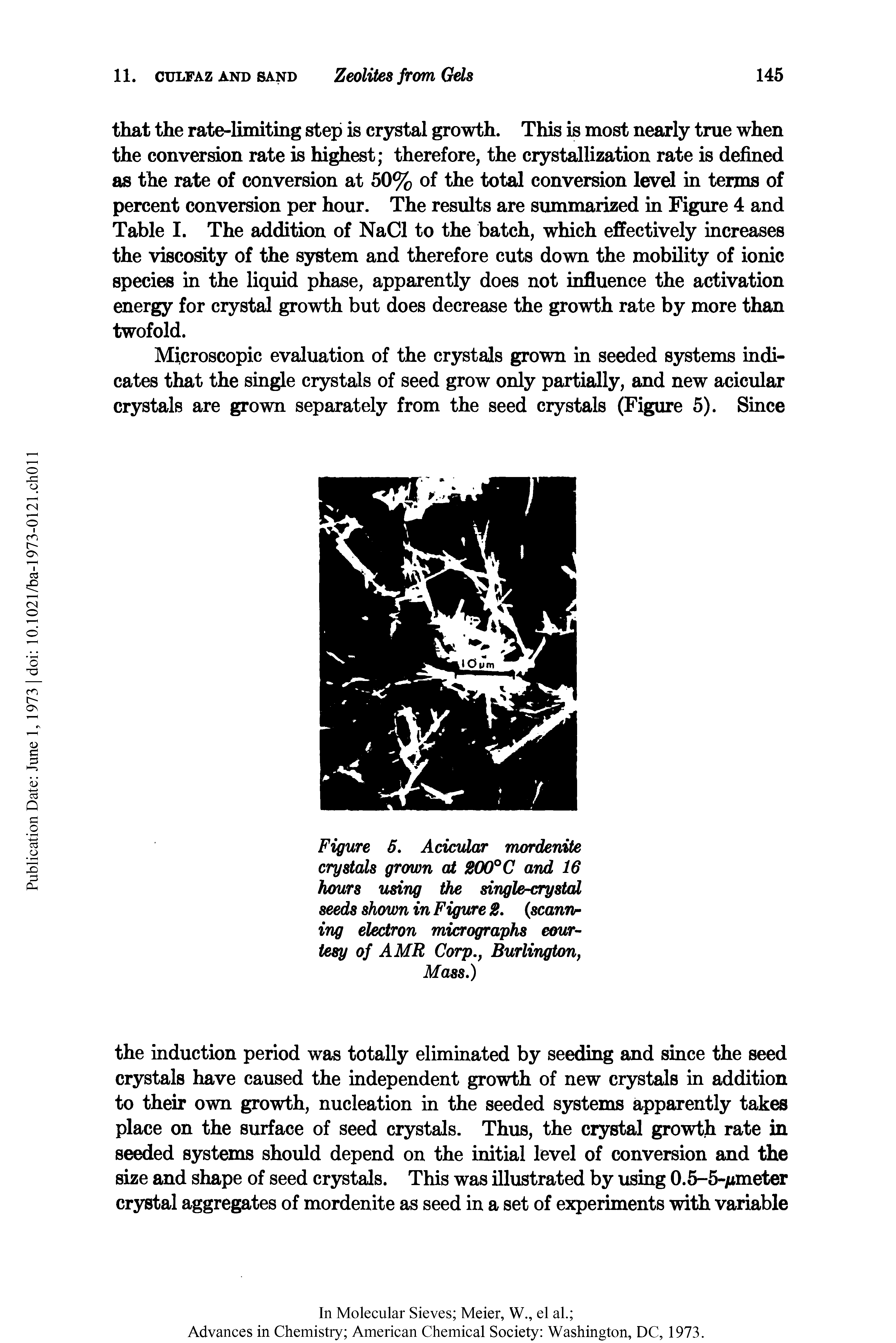 Figure 5. Acicular mordenite crystals grown at 200°C and 16 hours using the single-crystal seeds shown in Figure 2. (scanning electron micrographs courtesy of AMR Corp. Burlington, Mass.)...