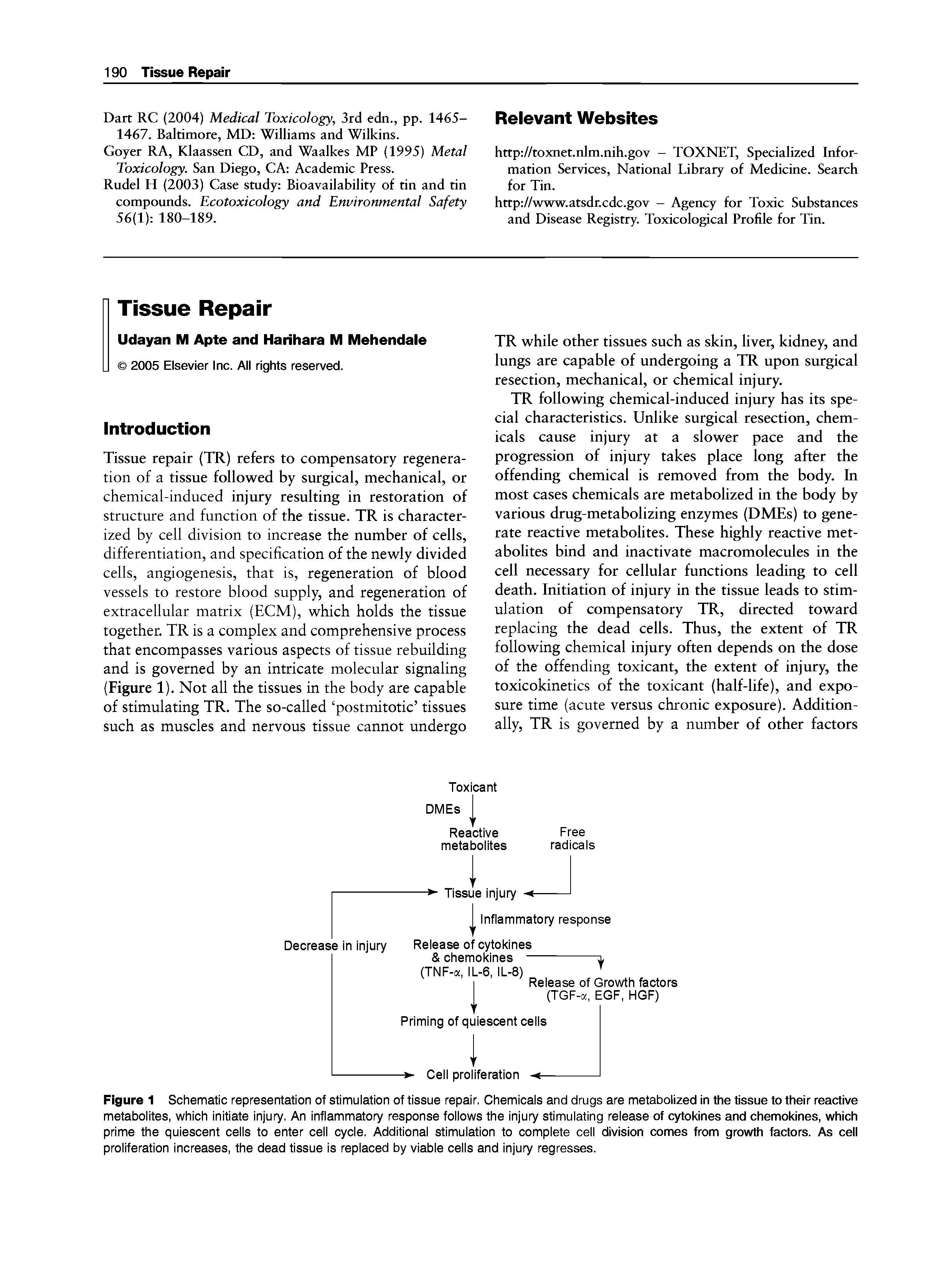 Figure 1 Schematic representation of stimuiation of tissue repair. Chemicais and drugs are metabolized in the tissue to their reactive metaboiites, which initiate injury. An inflammatory response foiiows the injury stimuiating reiease of cytokines and chemokines, which prime the quiescent ceiis to enter ceii cycie. Additionai stimuiation to compiete ceii division comes from growth factors. As cell proliferation increases, the dead tissue is replaced by viable cells and injury regresses.