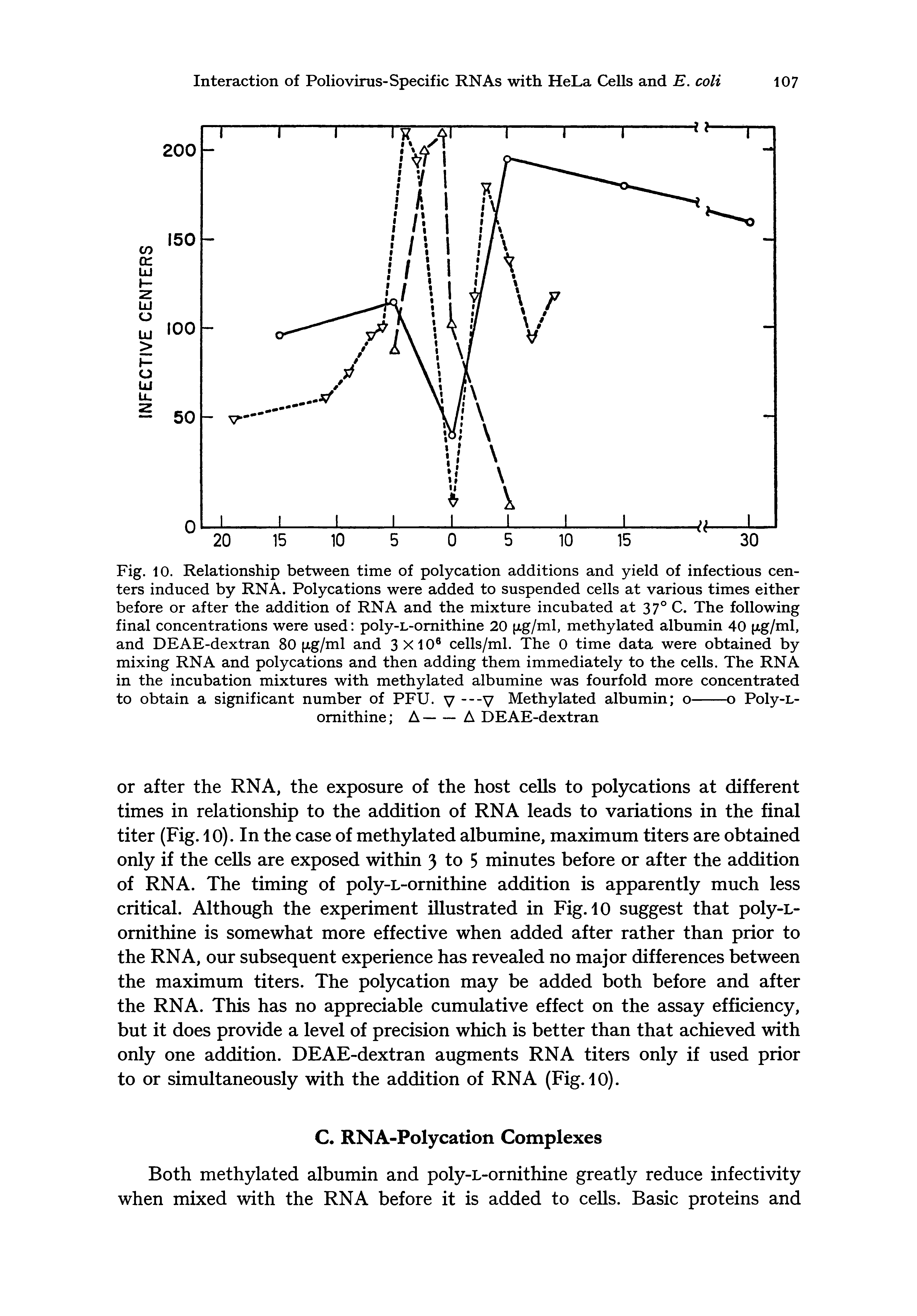 Fig. 10. Relationship between time of polycation additions and yield of infectious centers induced by RNA. Polycations were added to suspended cells at various times either before or after the addition of RNA and the mixture incubated at 37 C. The following final concentrations were used poly-L-omithine 20 (xg/ml, methylated albumin 40 xg/ml, and DEAE-dextran 80 [xg/ml and 3X10 cells/ml. The 0 time data were obtained by mixing RNA and polycations and then adding them immediately to the cells. The RNA in the incubation mixtures with methylated albumine was fourfold more concentrated...
