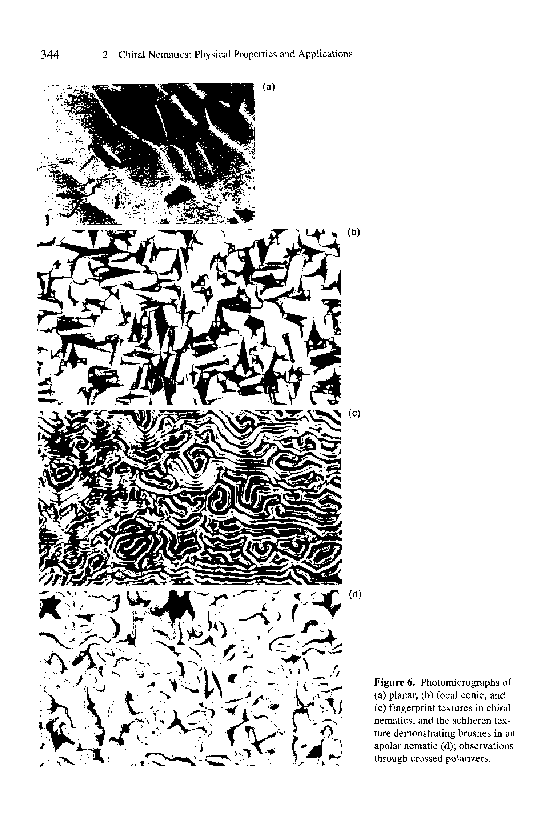 Figure 6. Photomicrographs of (a) planar, (b) focal conic, and (c) fingerprint textures in chiral nematics, and the schlieren texture demonstrating brushes in an apolar nematic (d) observations through crossed polarizers.