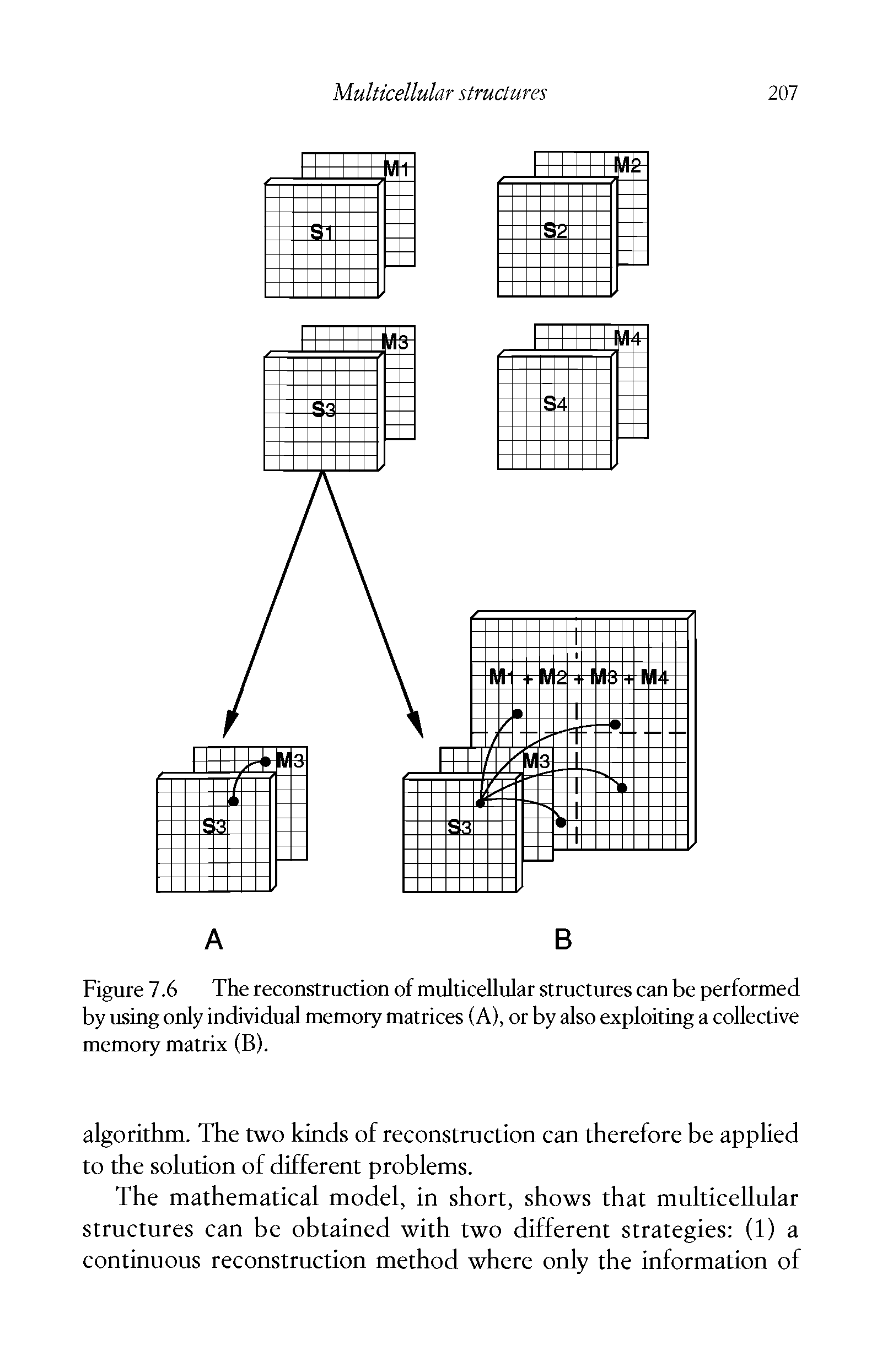 Figure 7.6 The reconstruction of multicellular structures can be performed by using only individual memory matrices (A), or by also exploiting a collective memory matrix (B).