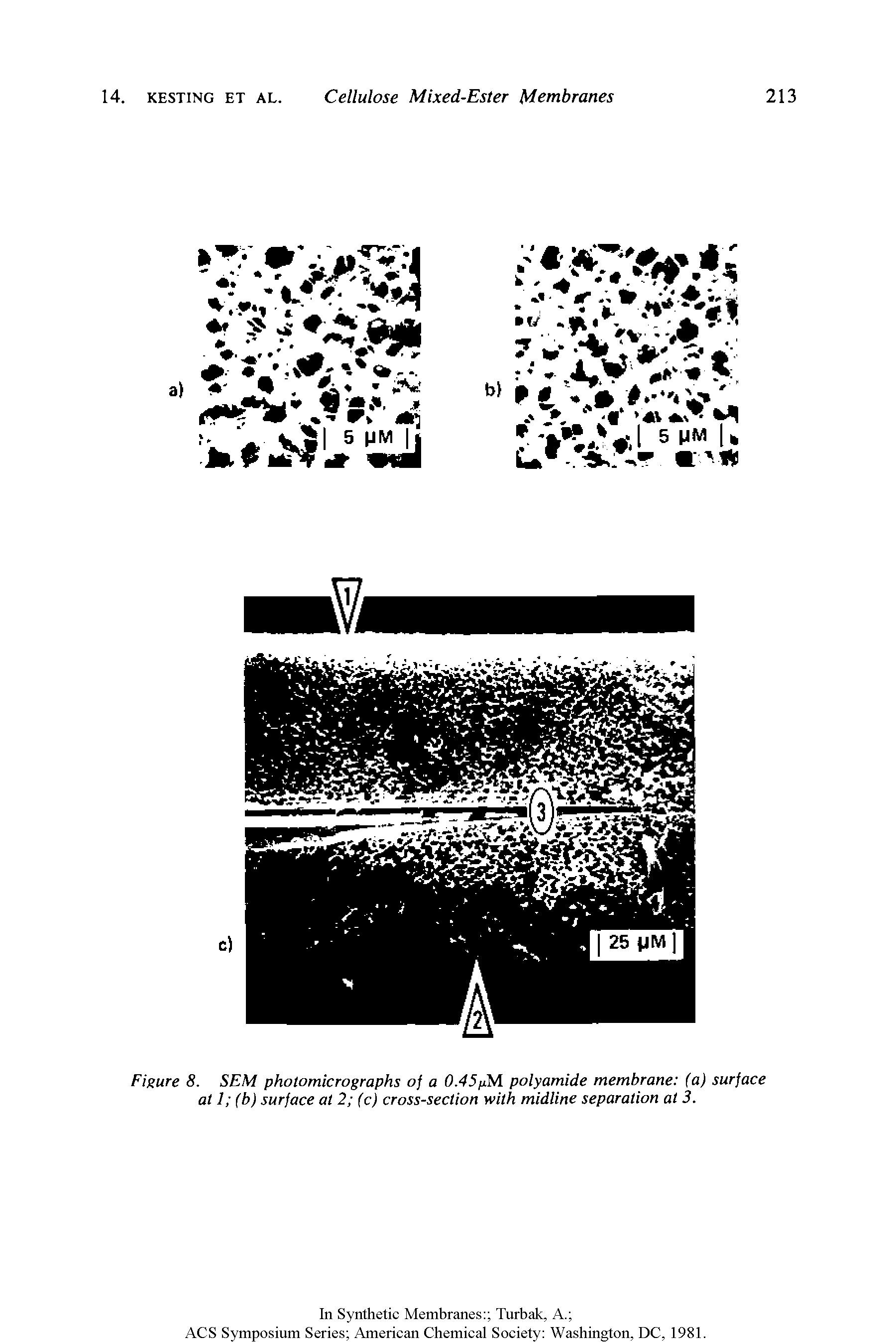 Figure 8. SEM photomicrographs of a 0.45fiM polyamide membrane (a) surface at 1 (b) surface at 2 (c) cross-section with midline separation at 3.